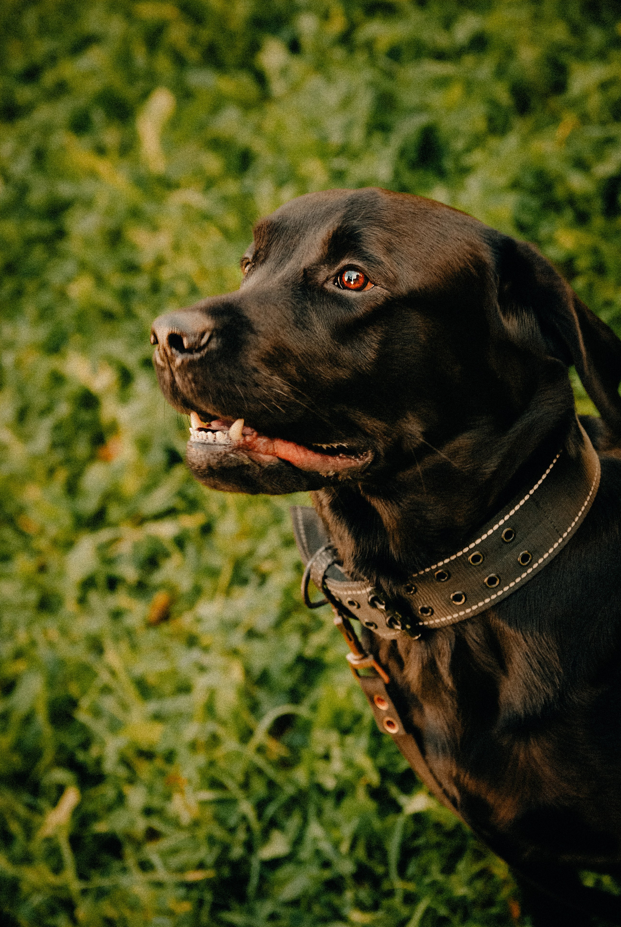 Зоопарк в моём багаже. Кошенкова Мария: портретный и репортажный фотограф. Санкт-Петербург