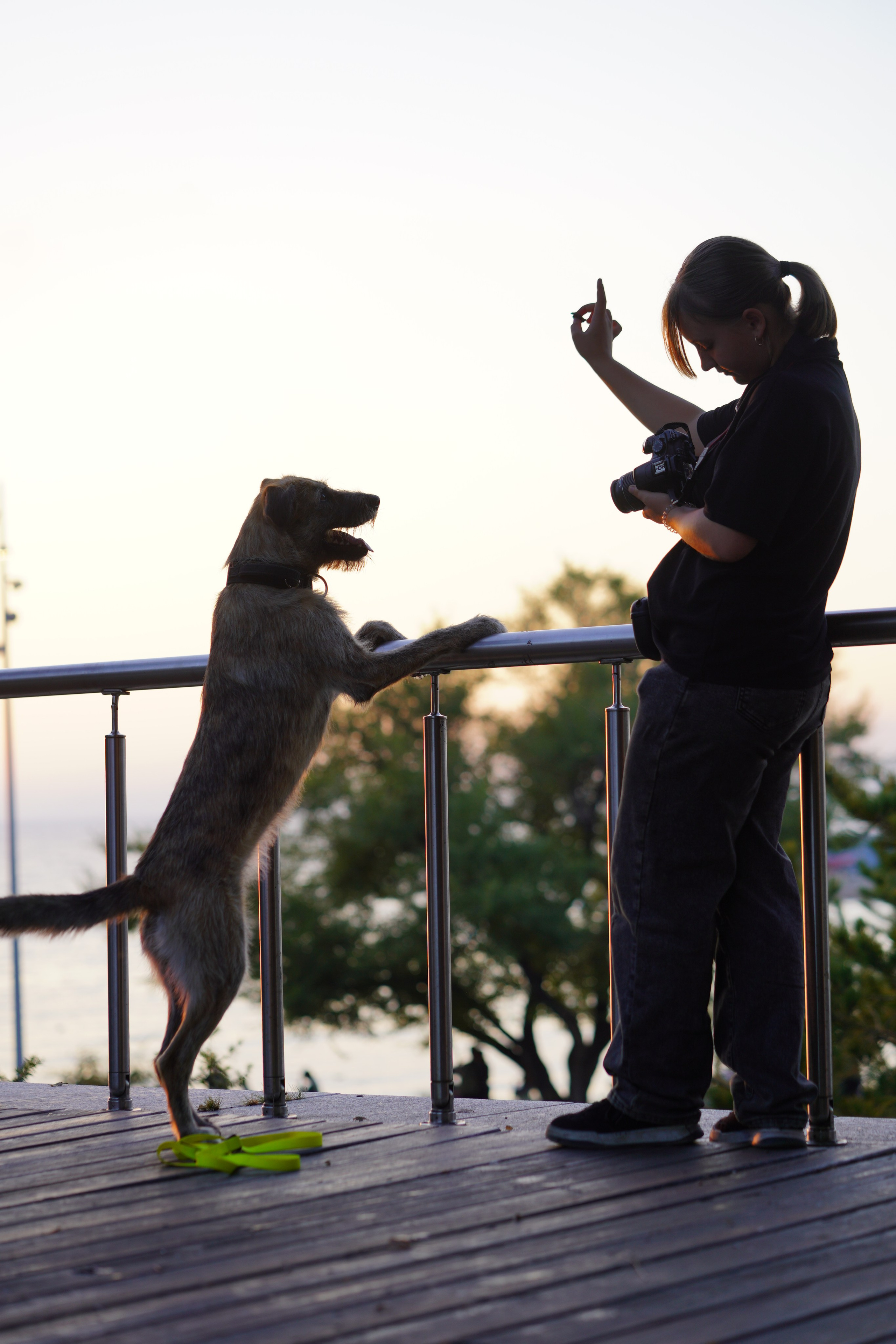 девушка дает команду собаке