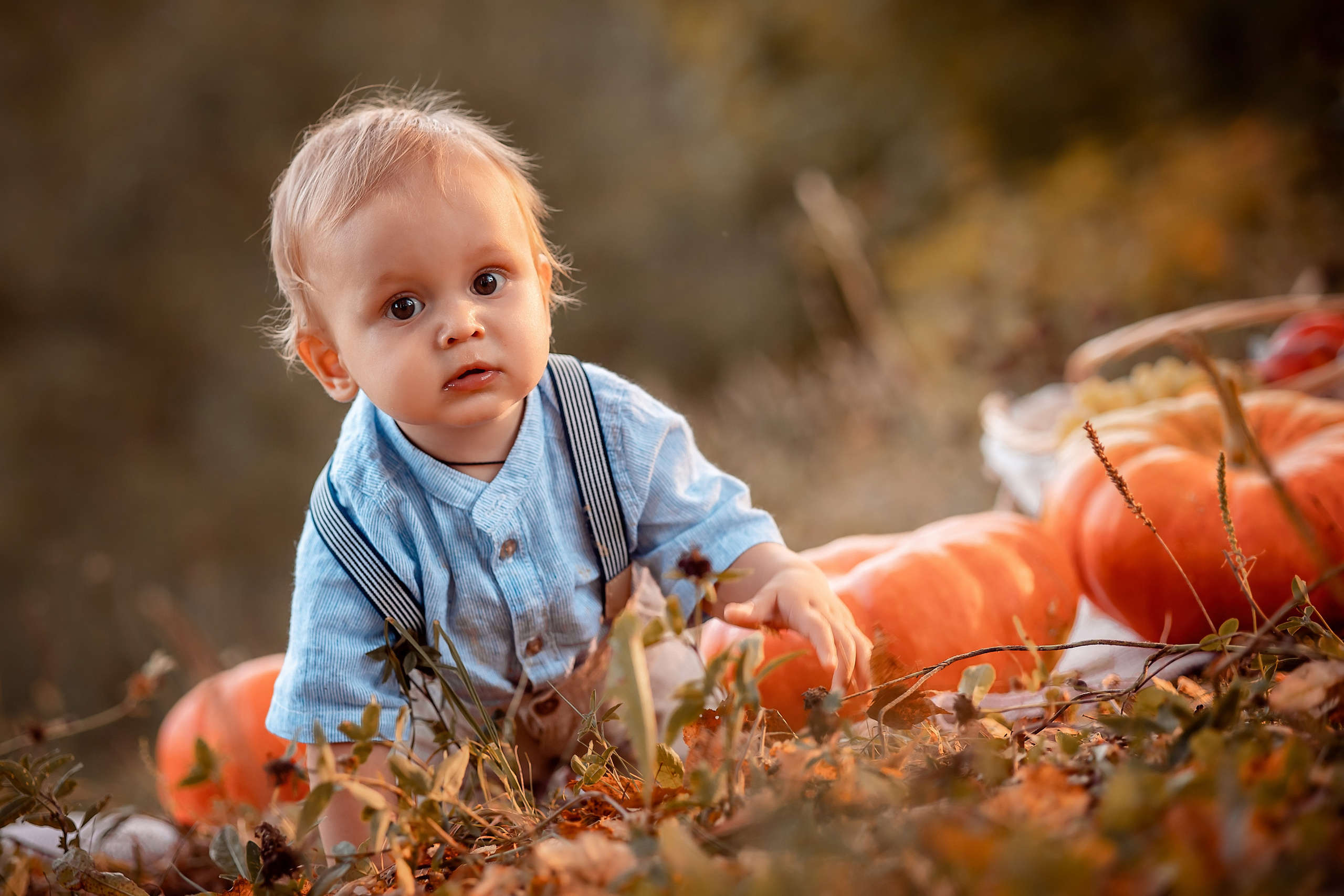 Фотосессии. Свадебный Церковный Семейный фотограф Светлана Былова Москва- Смоленск