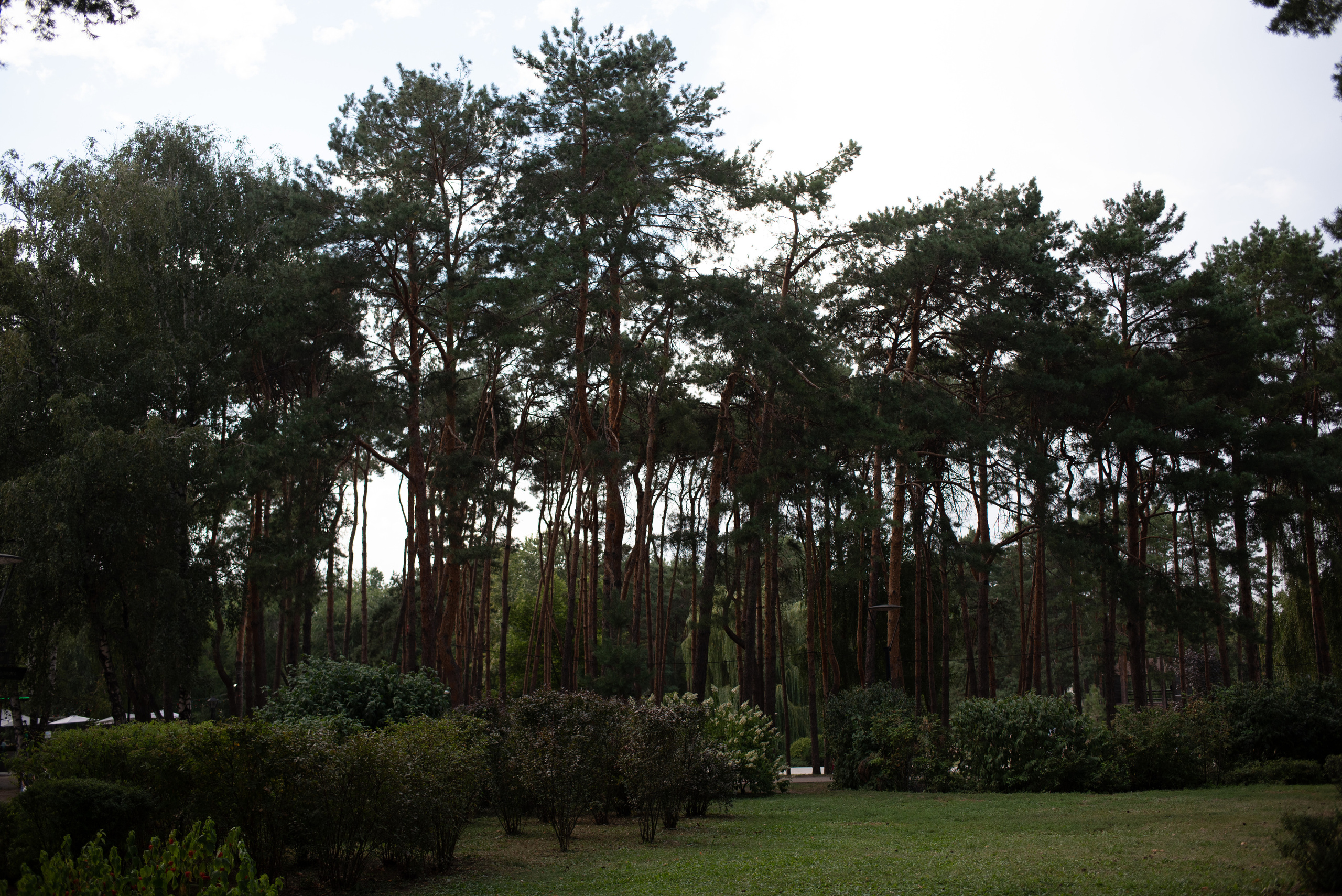 Фотосессия 1 годик. Свадебный фотограф — фотограф на свадьбу в Воронеже — Свадебное фото