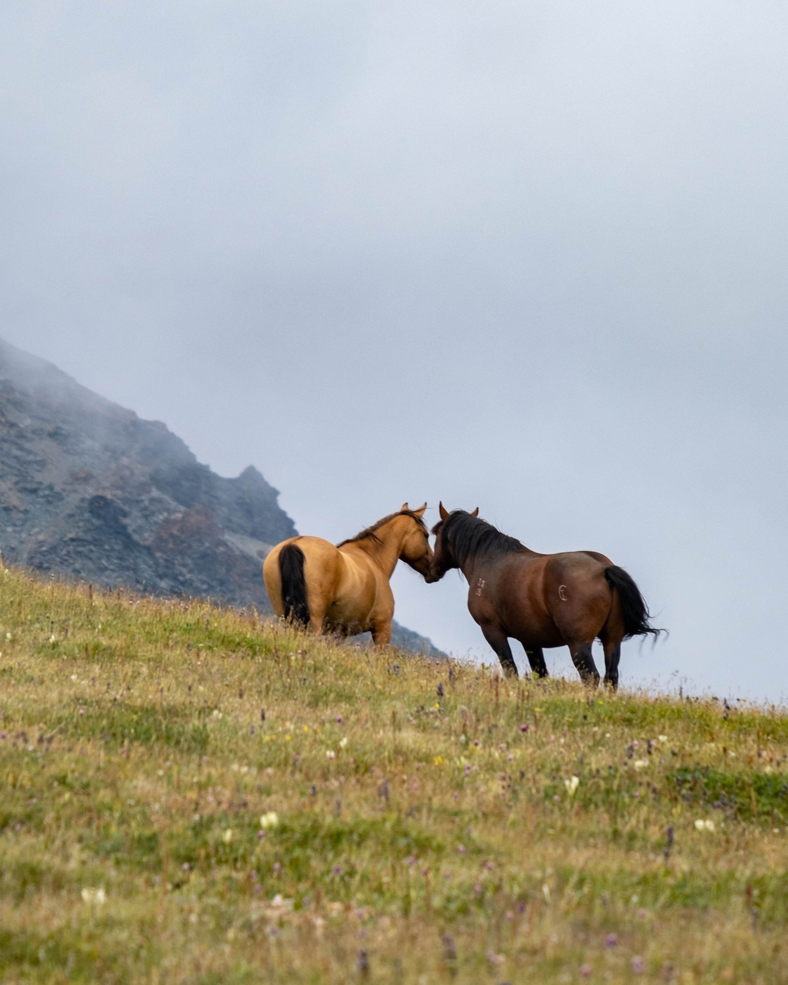 RUSSIA. Фотограф |Герасимова София