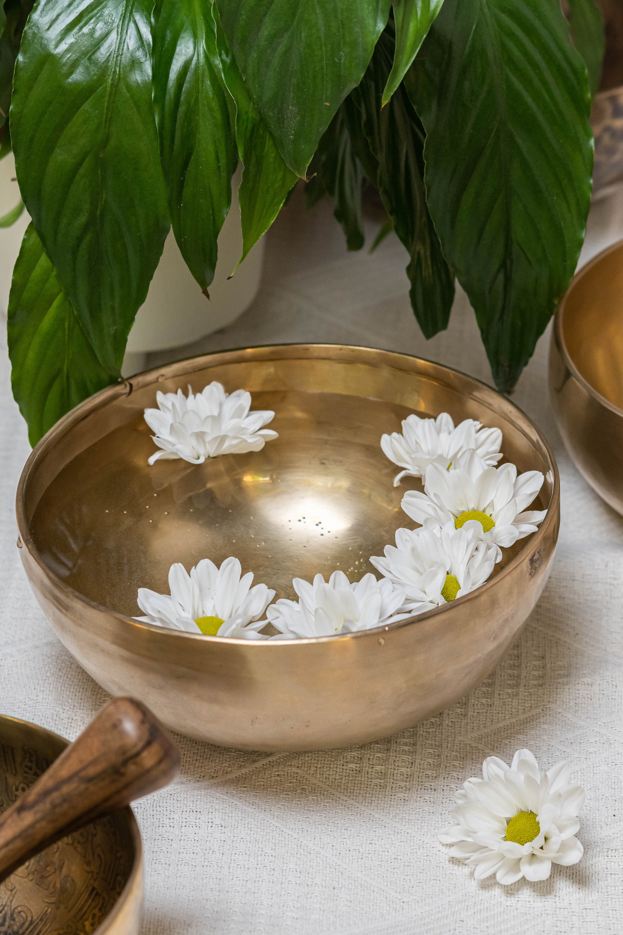 Контент для соцсетей- Тибетские чаши. Предметный фотограф в Горячем Ключе Вера Швец