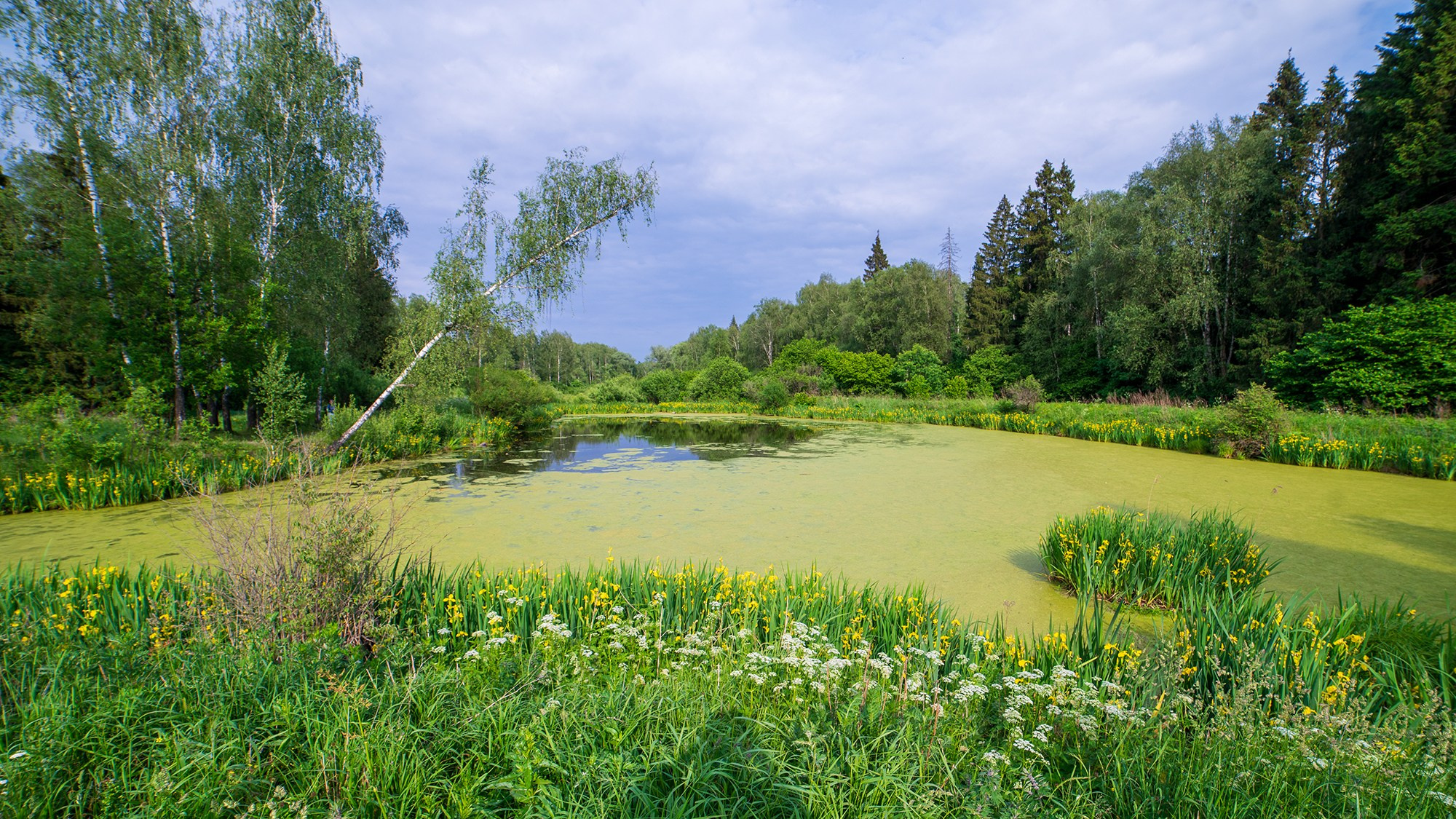 Природа. Ваш личный фотограф Марина Волкова