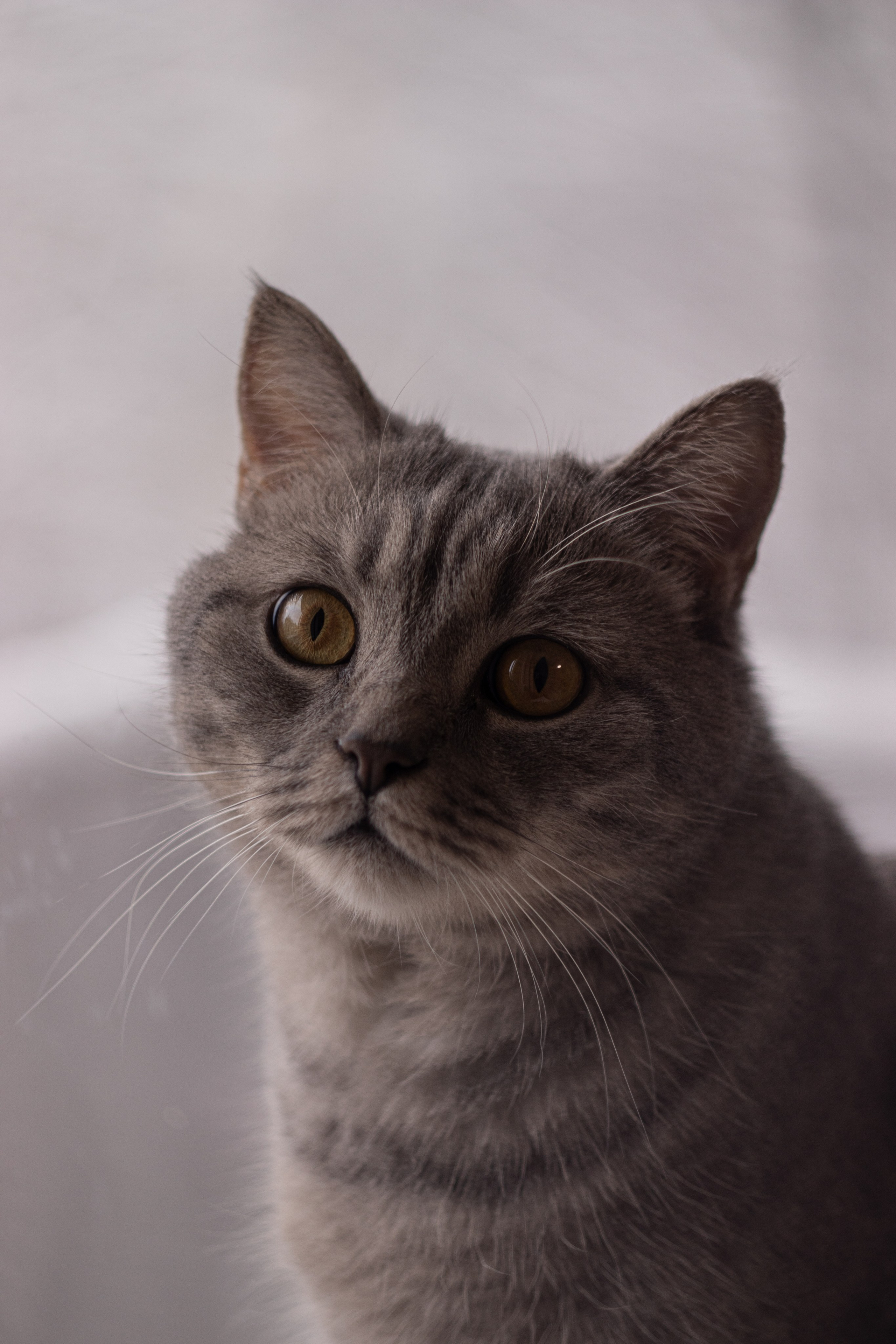 М А Р Т И Н. — Digital Noise —