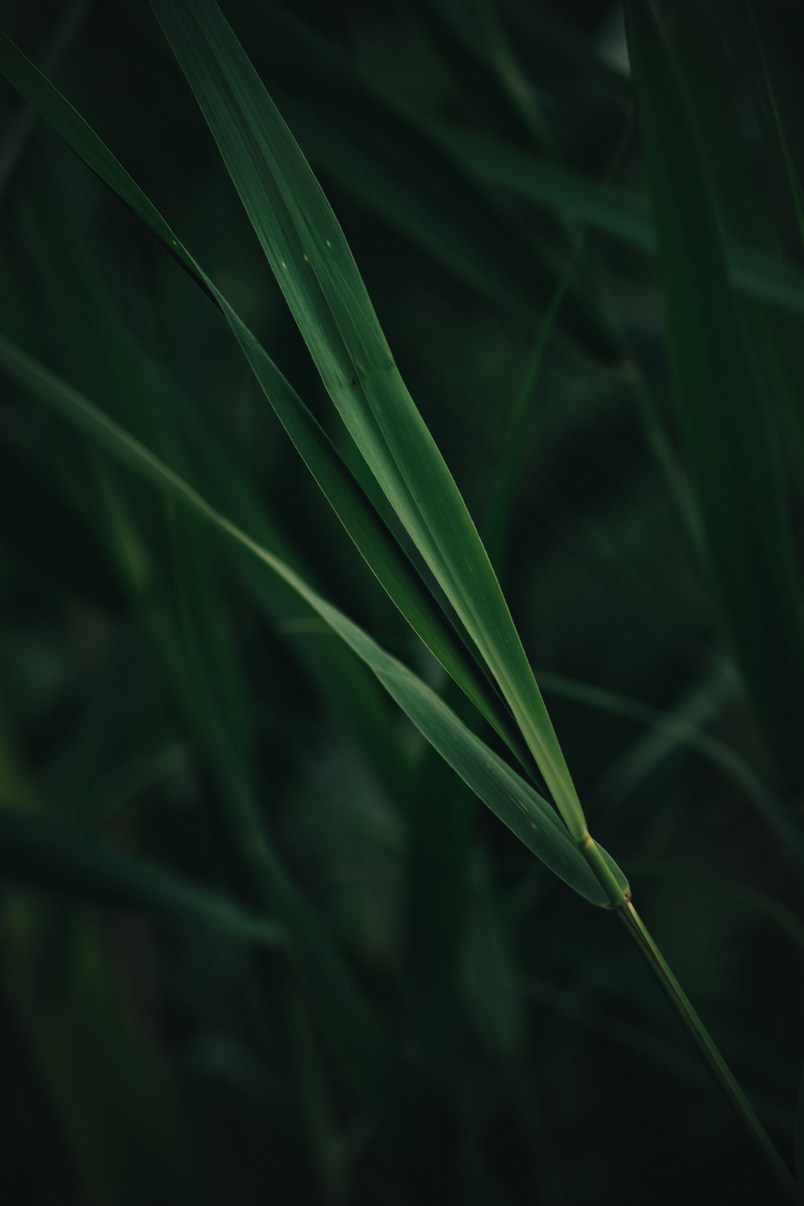 Т Е П Л Ы Й — З Е Л Е Н Ы Й