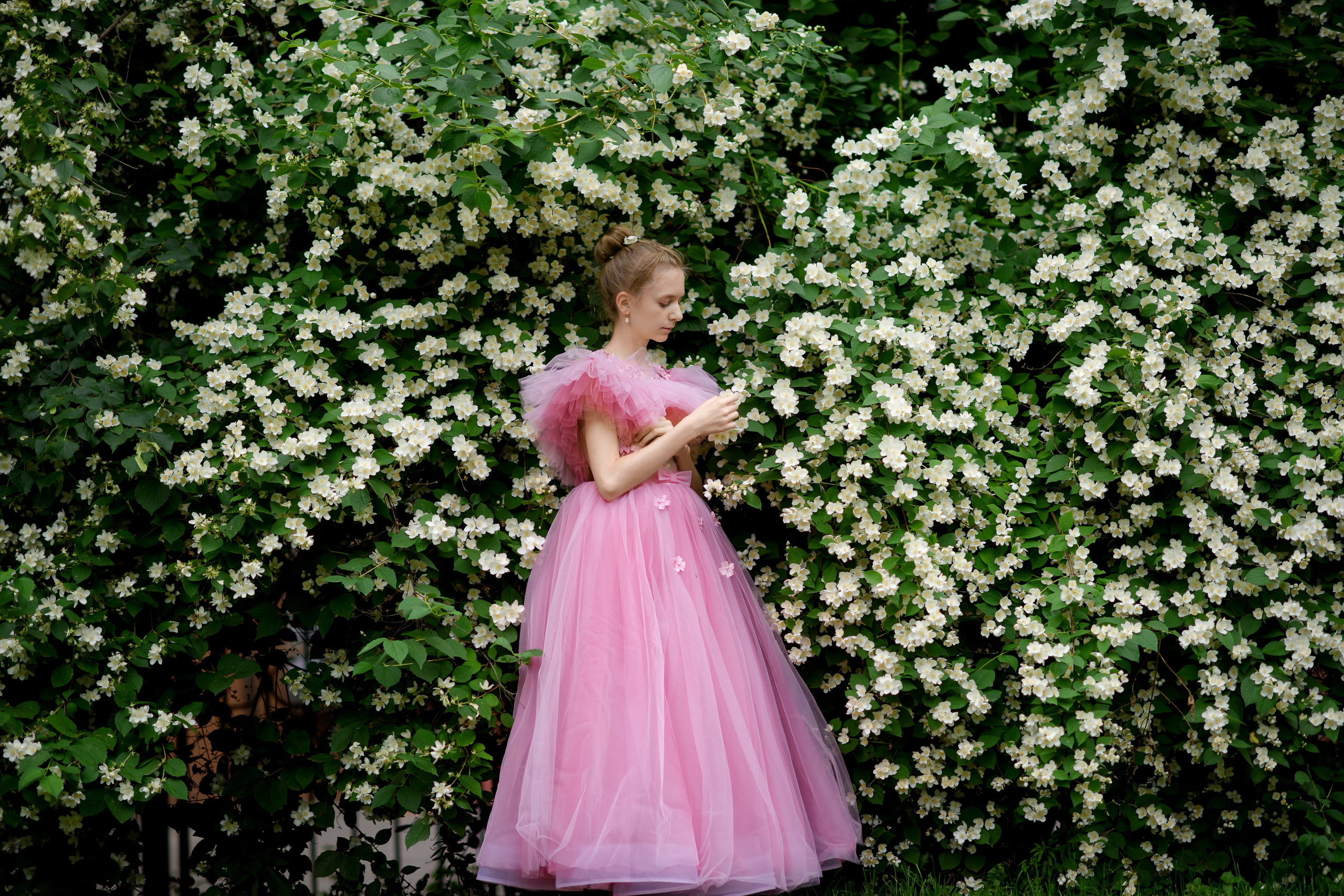 В цветущем чубушнике в саду имени Баумана. Главная