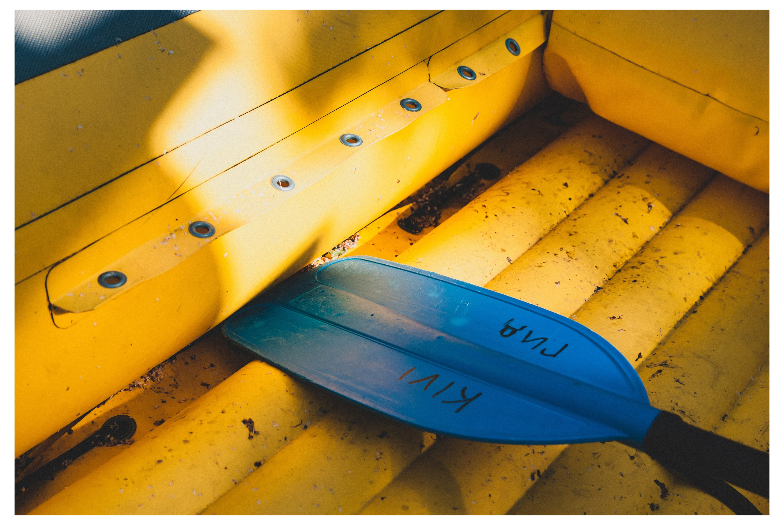 Репортажи / МК. Кошенкова Мария: портретный и репортажный фотограф. Санкт-Петербург