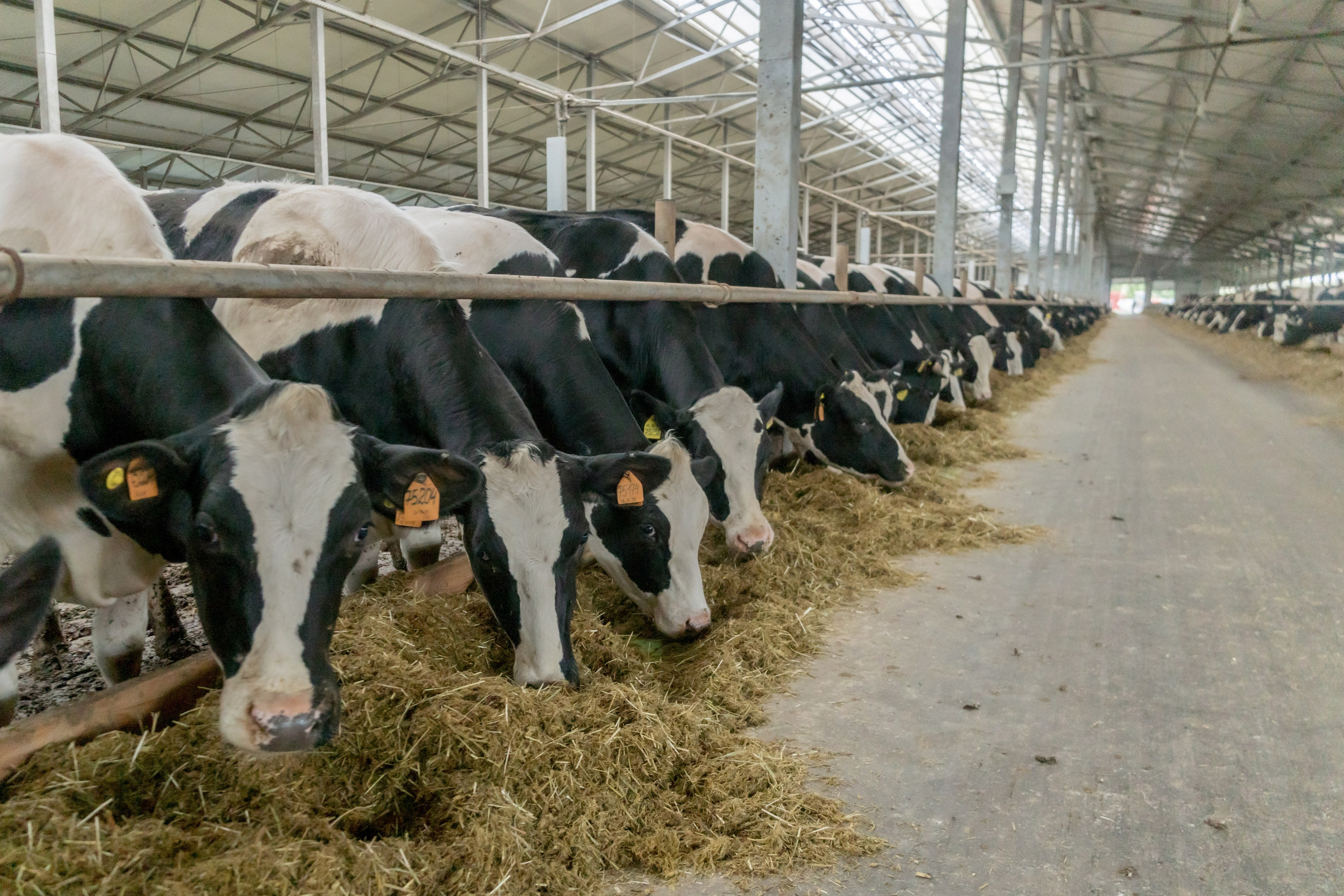 Промышленная фотография. Artur Photography