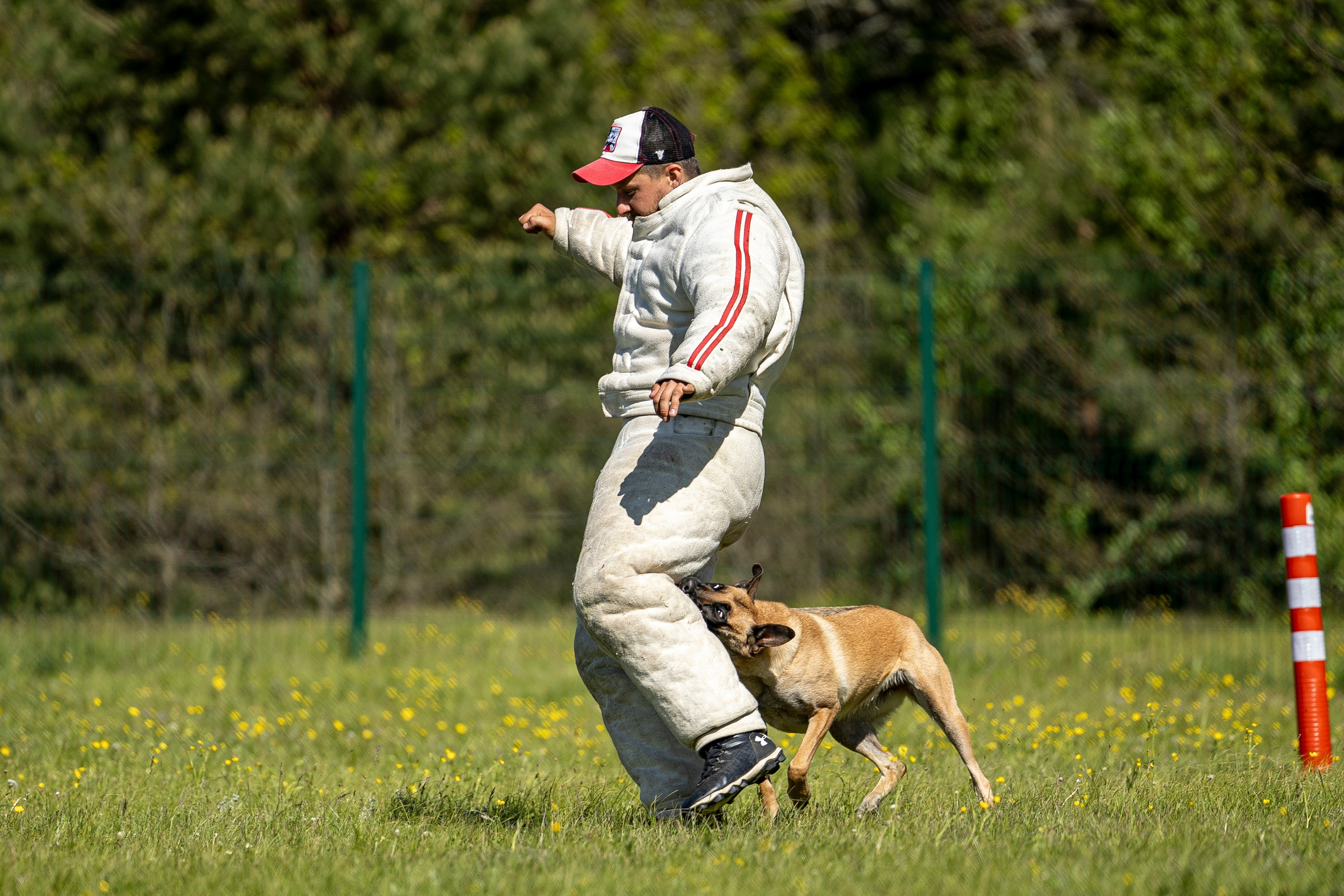 Испытания по мондьорингу в Нижнем Новгороде. Фотограф-анималист Анна Маринич