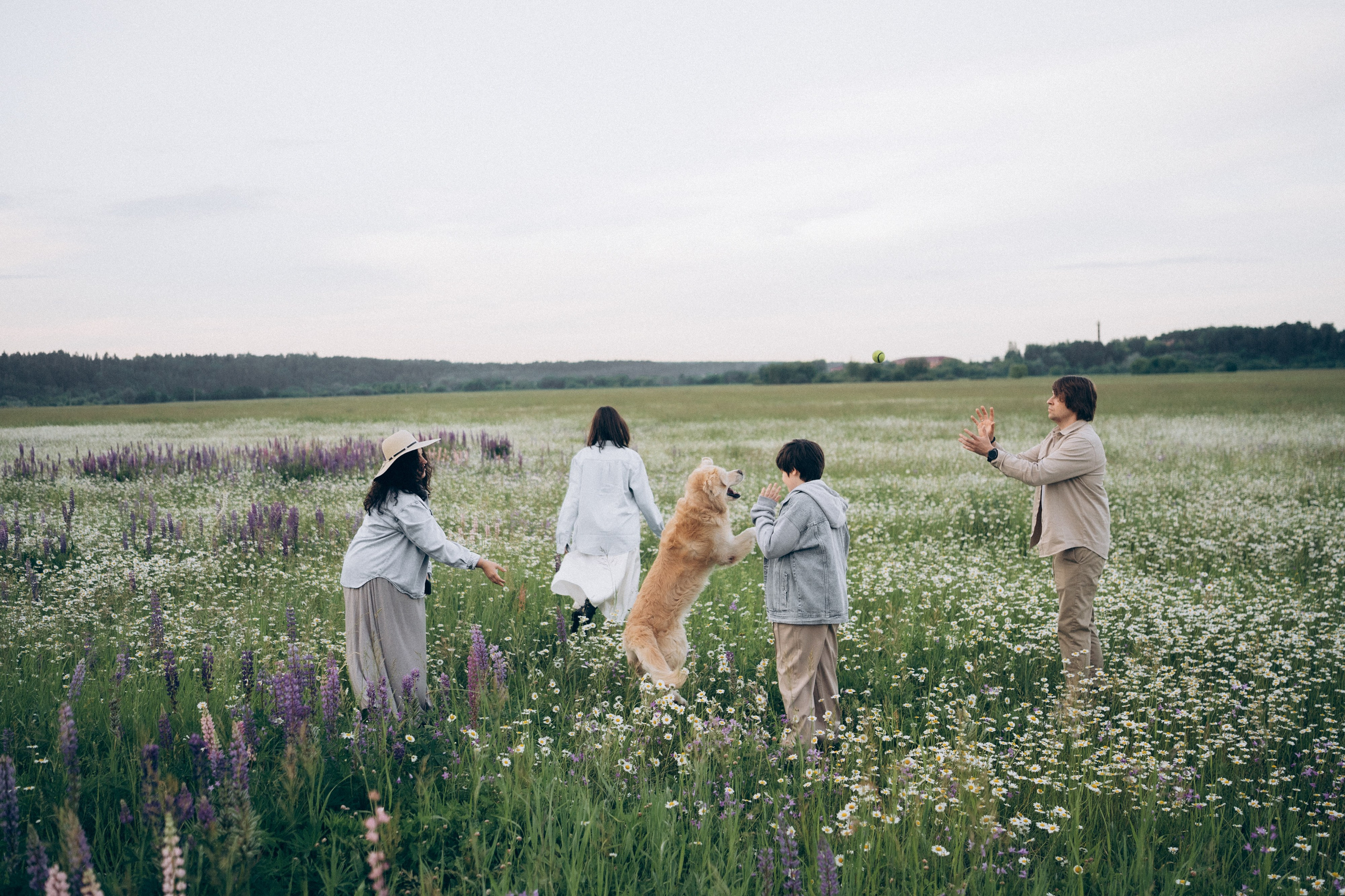 Кристина, Александр, Каролина, Владлен и Космос. Фотограф анималист в Москве и Санкт-Петербурге Свиридова Анна