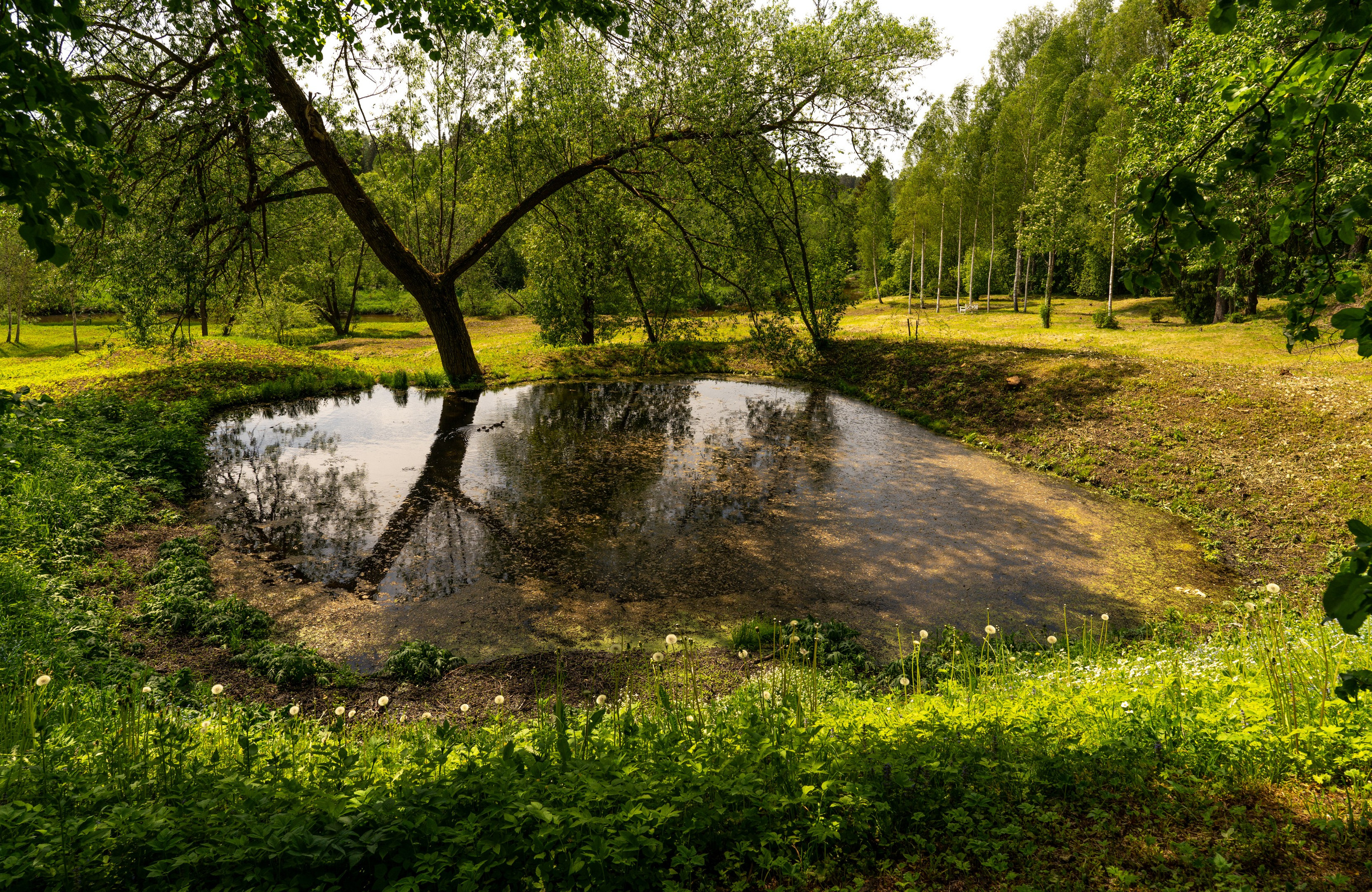 Плёс. ПОБУДЬ ЗДЕСЬ И ЦЕЛЕЕ БУДЕТ ЭТОТ МИР