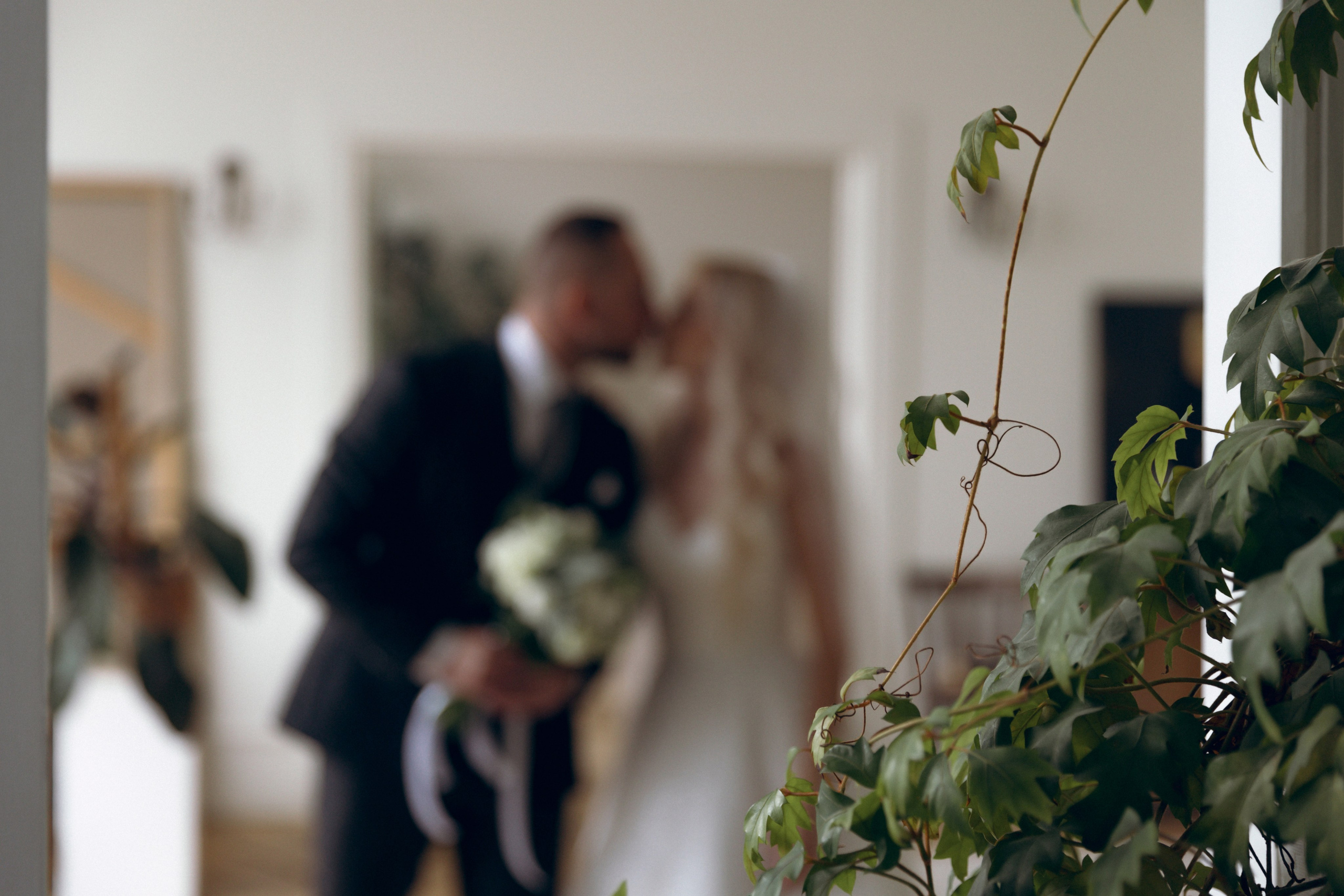 Дмитрий и Снежана, 1/11/2024. Свадебный  и семейный фотограф в Краснодаре