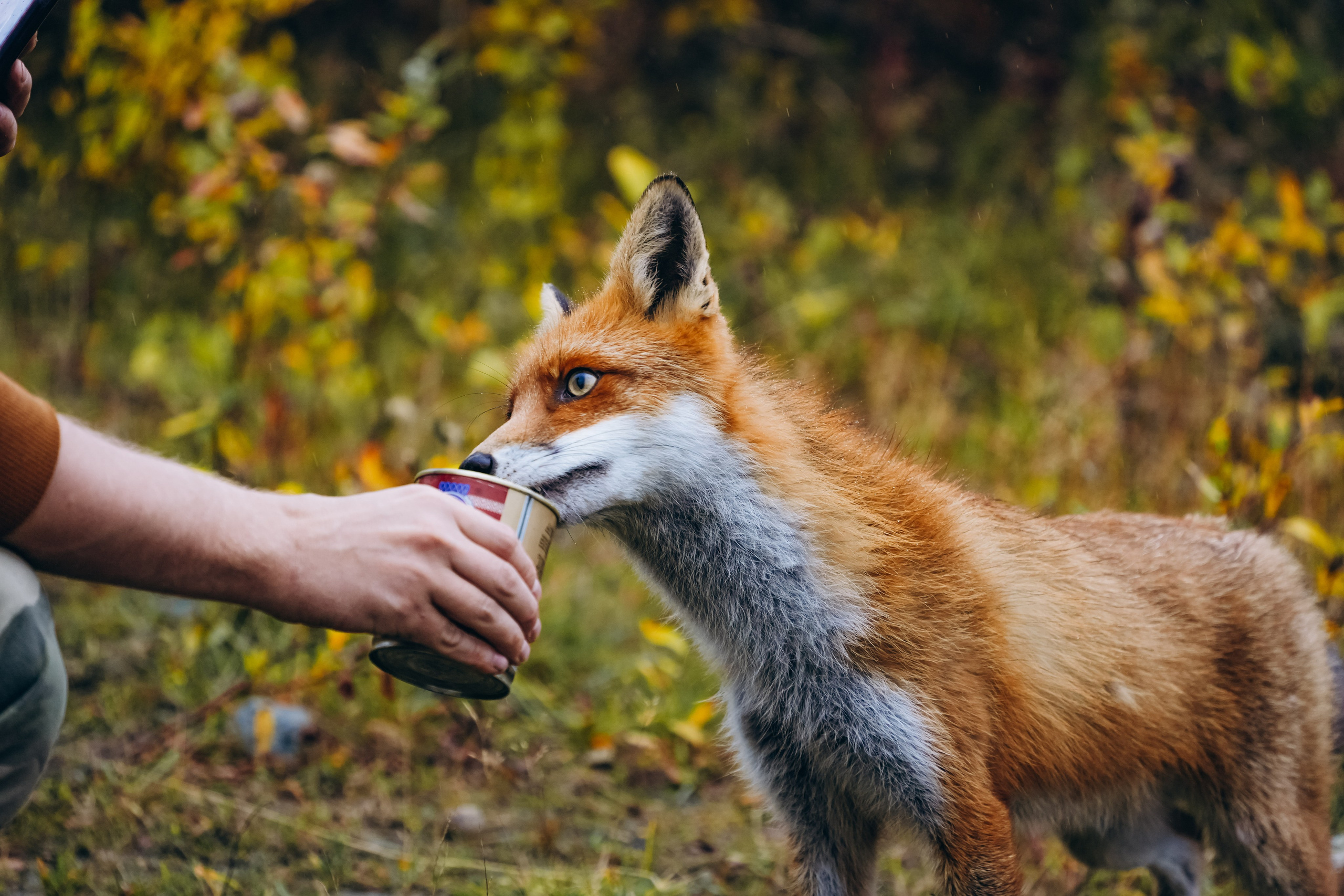 СЕВЕР. Event фотограф Степанова Александра