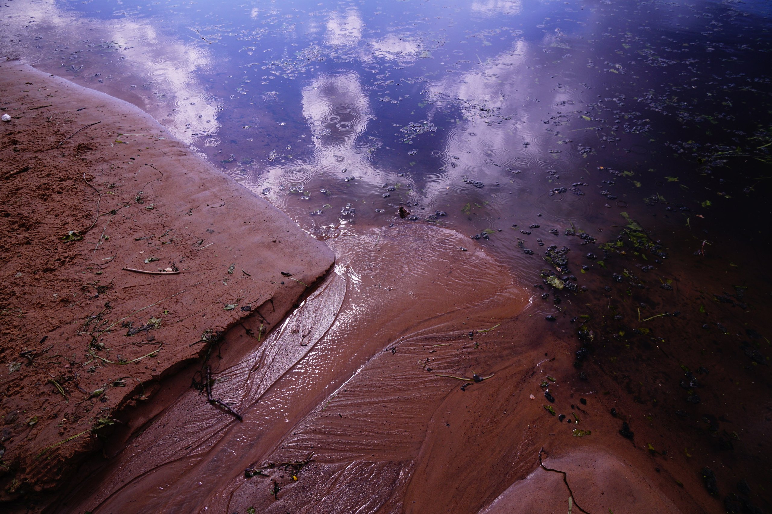 Симуляторы (Каталог № 4). Главная