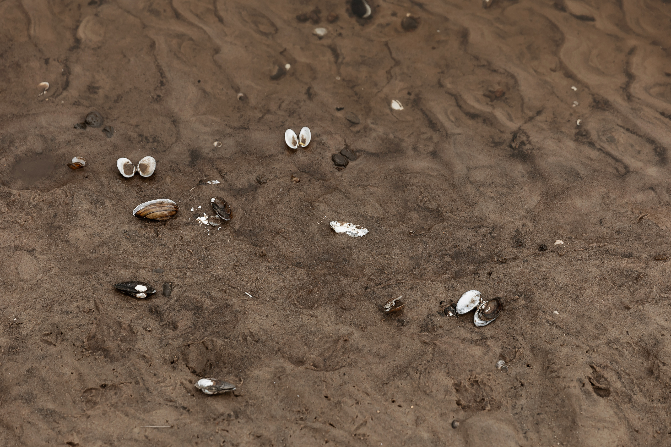 «Между нами двумя». Свадебный фотограф Колесников Антон