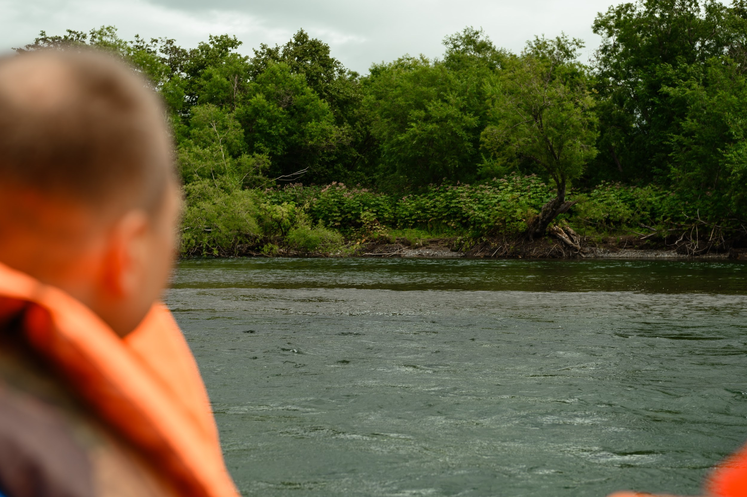 Камчатка 08.2024. Фотограф Марина Росси