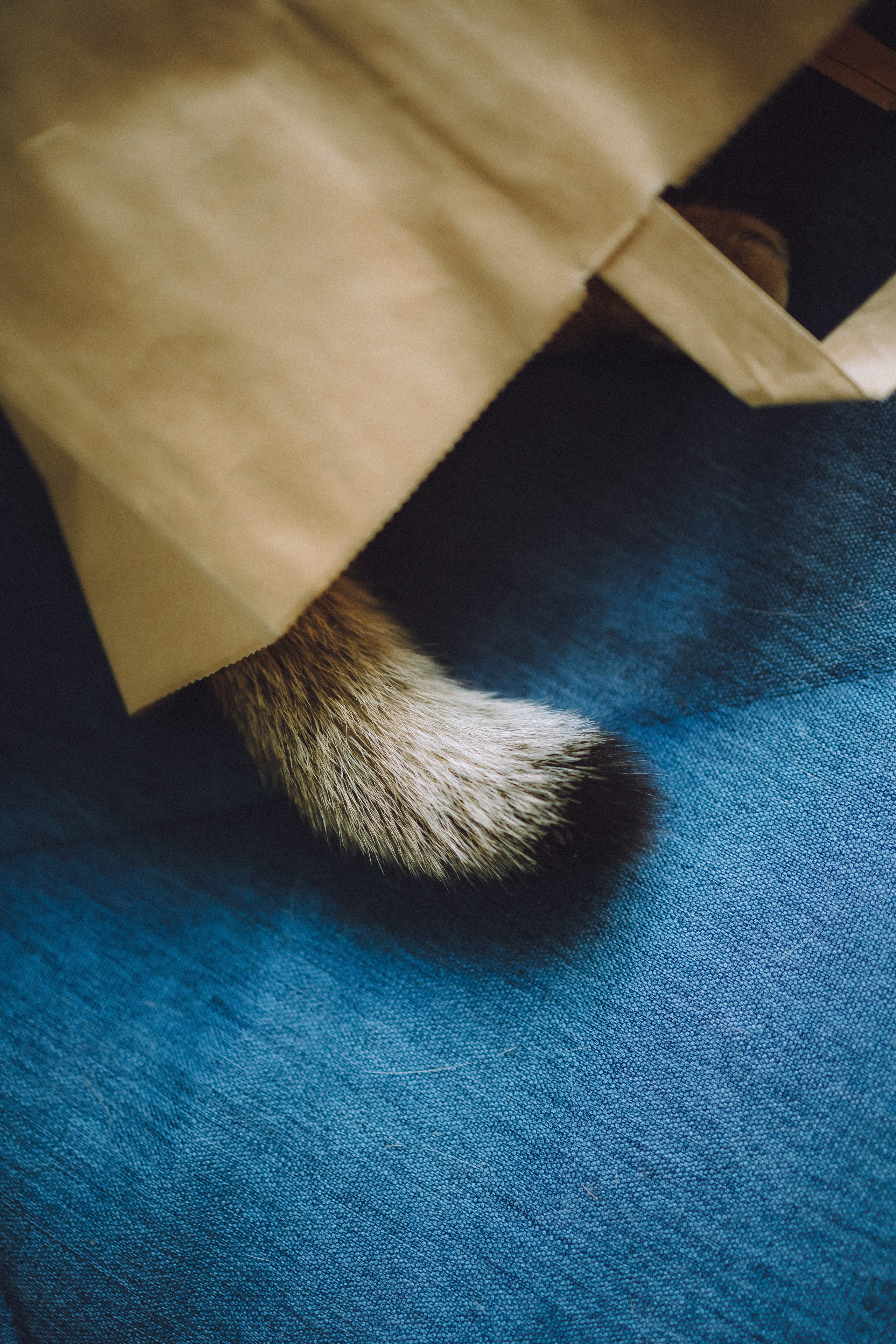 Генри и его семья