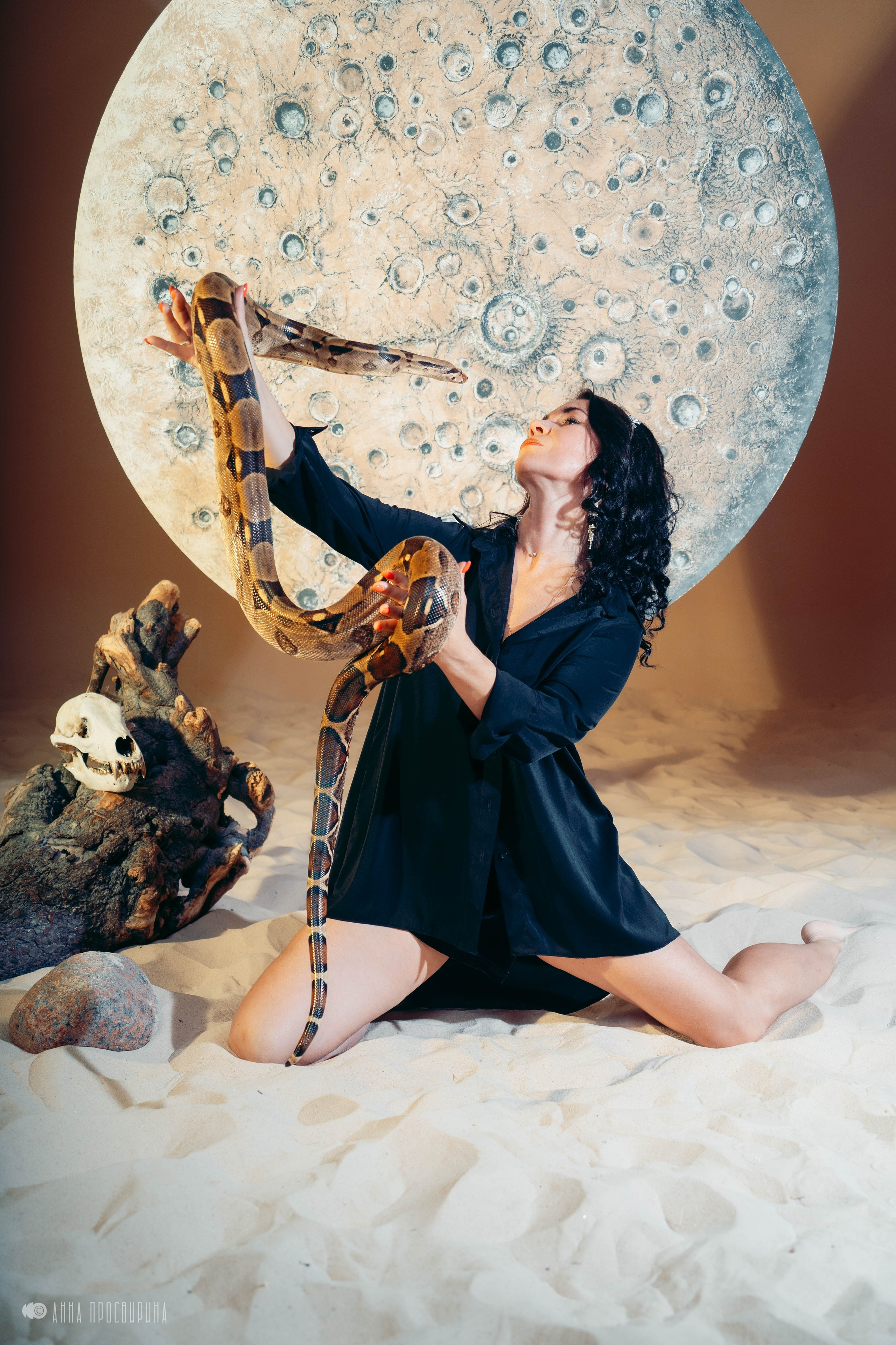 Новогодняя съемка с символом года для проекта Dolce Donna. Ваш фотограф в Санкт-Петербурге Анна Просвирина