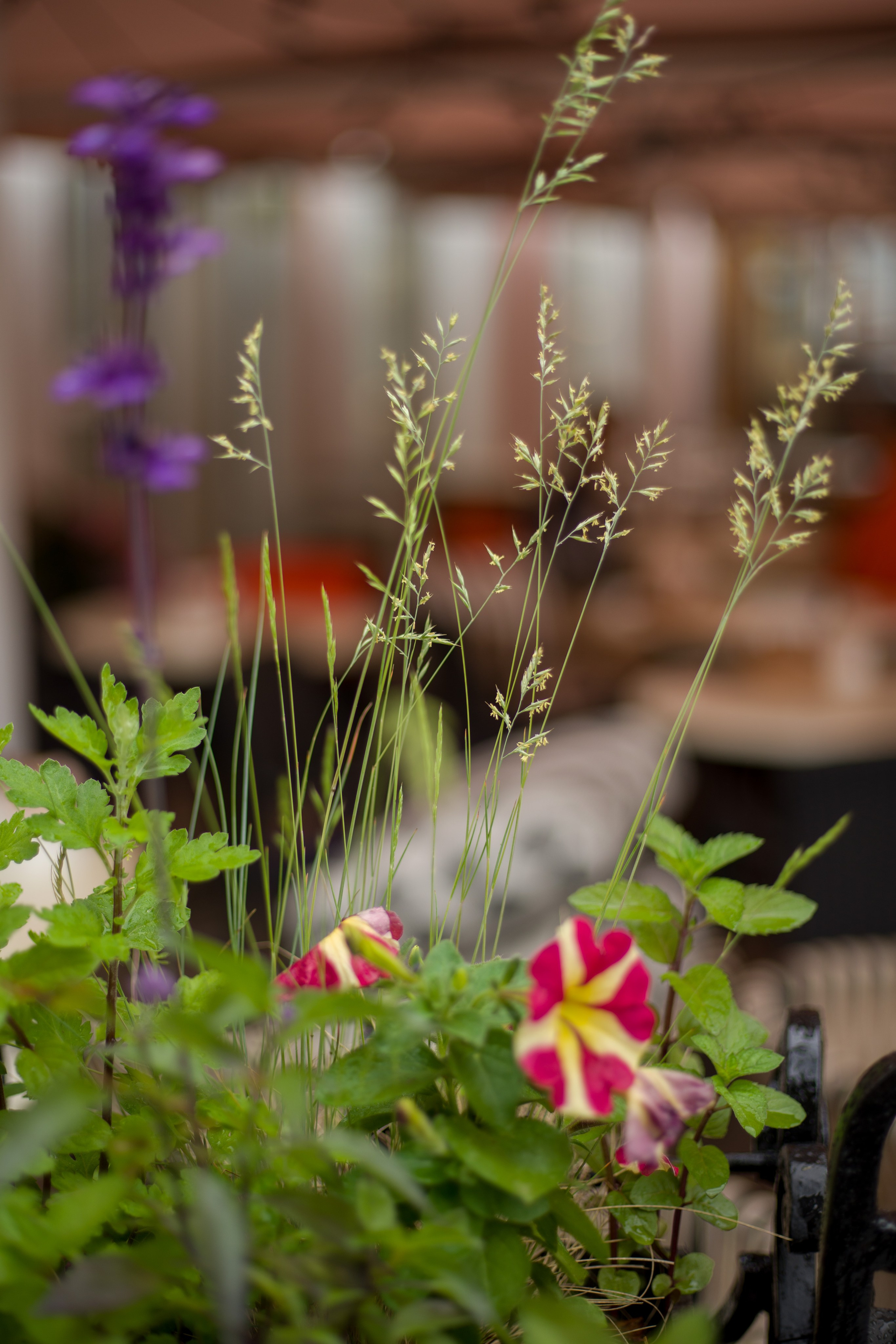 Фотомедитация с Марией Гулыниной. Контент-фотограф в Нижнем Новгороде Антошина Ольга