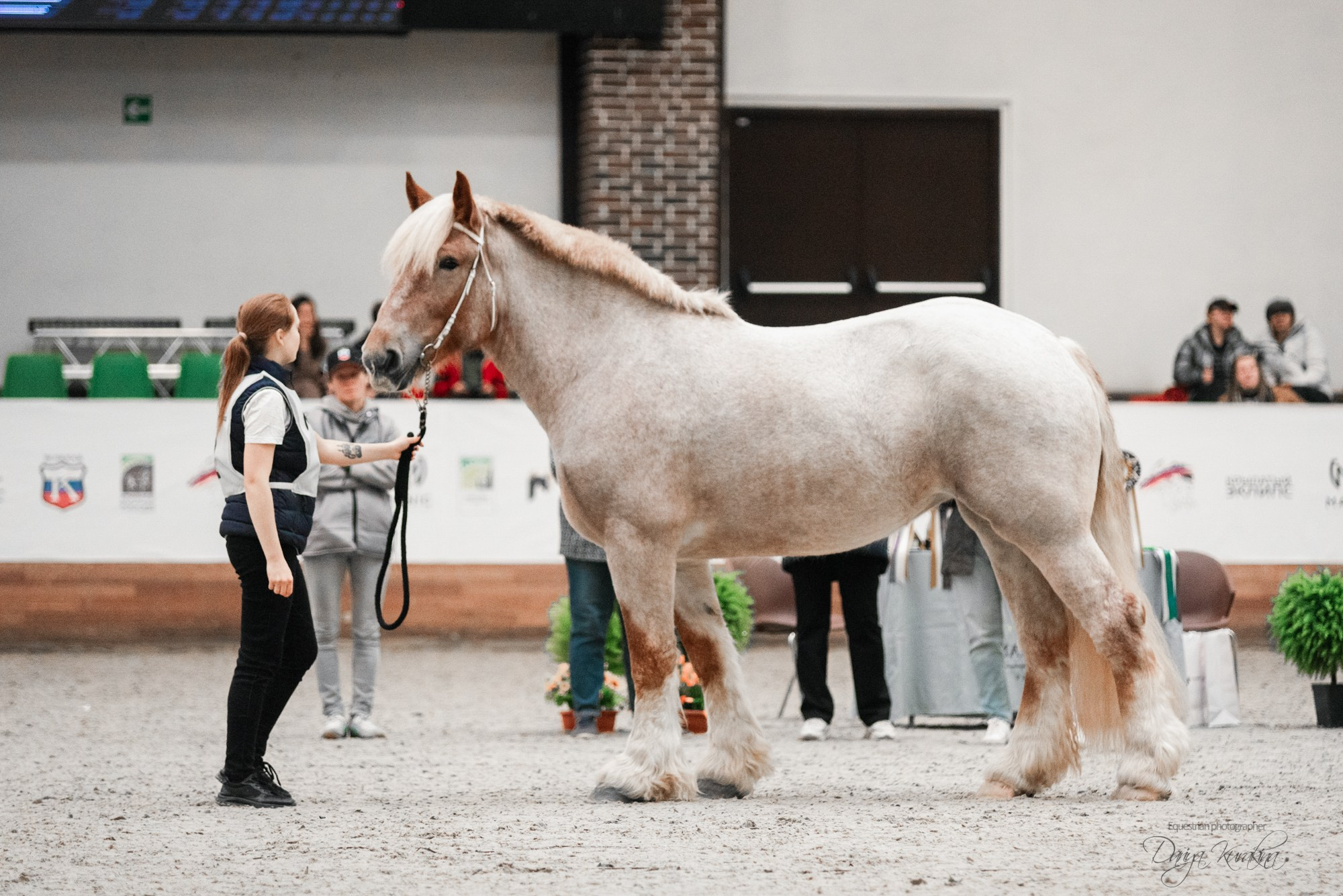 8-я международная выставка Конная Россия. Конный фотограф Куракина Дарья • Фотосессии с лошадьми