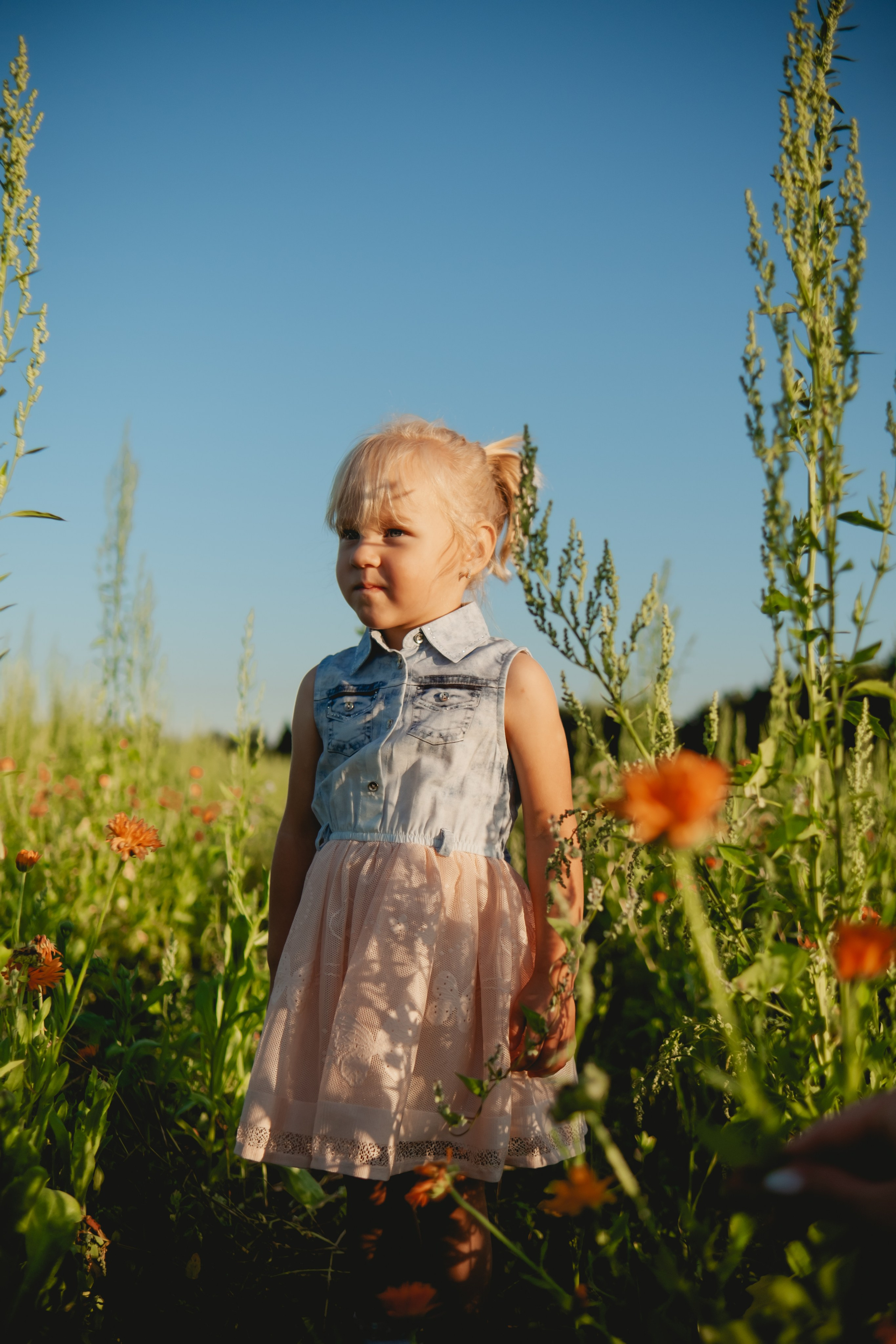 Семейная съемка в лованде. Nattie.ph