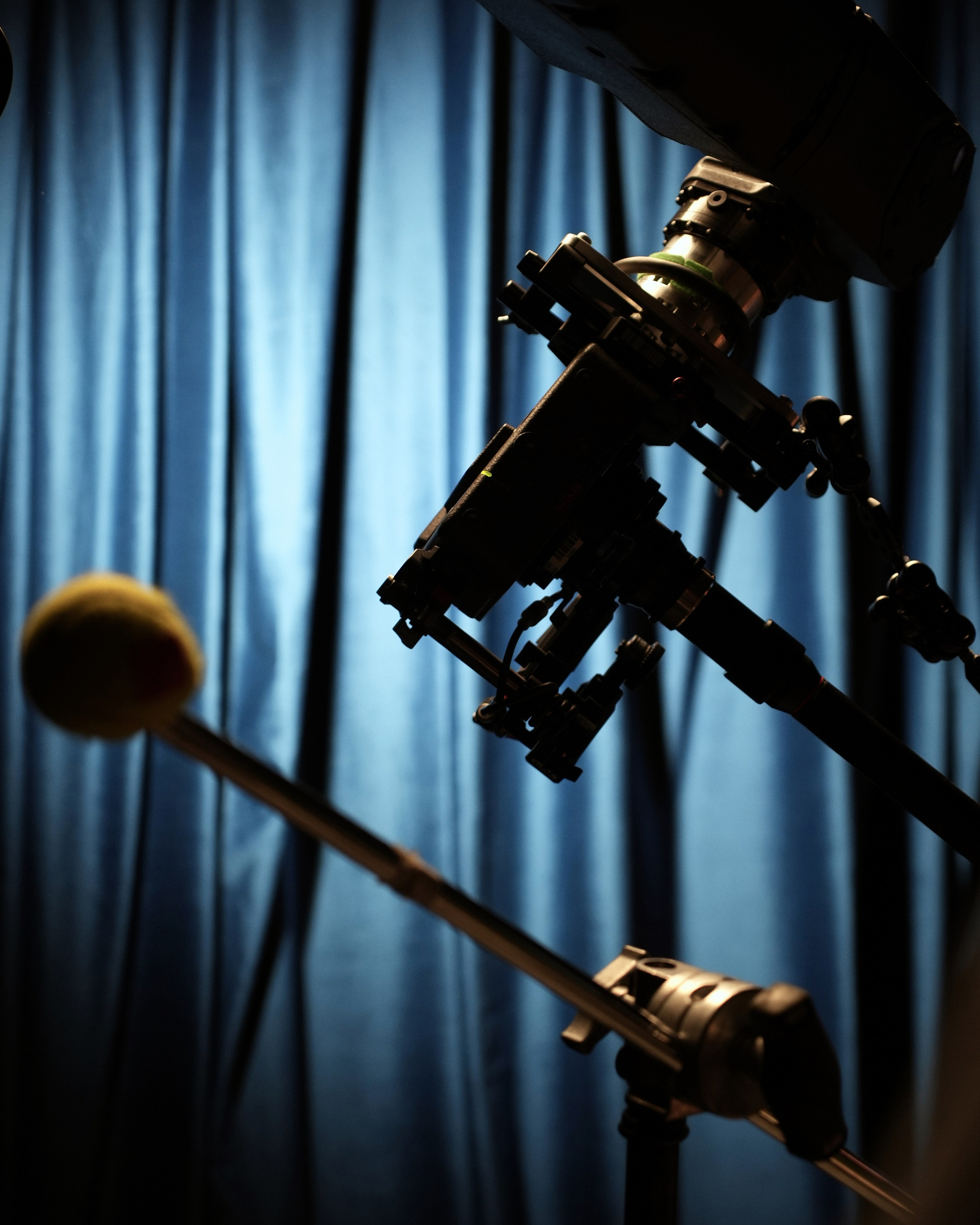 HONOR. ANNA — PHOTOGRAPHER