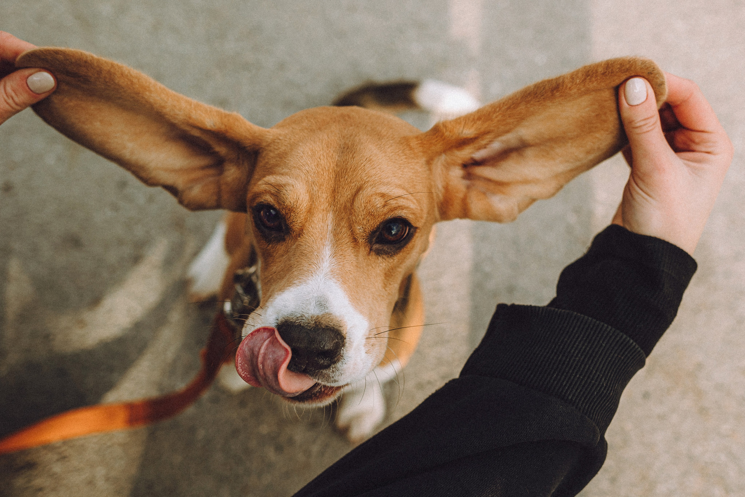 Ксюша и Мэгги