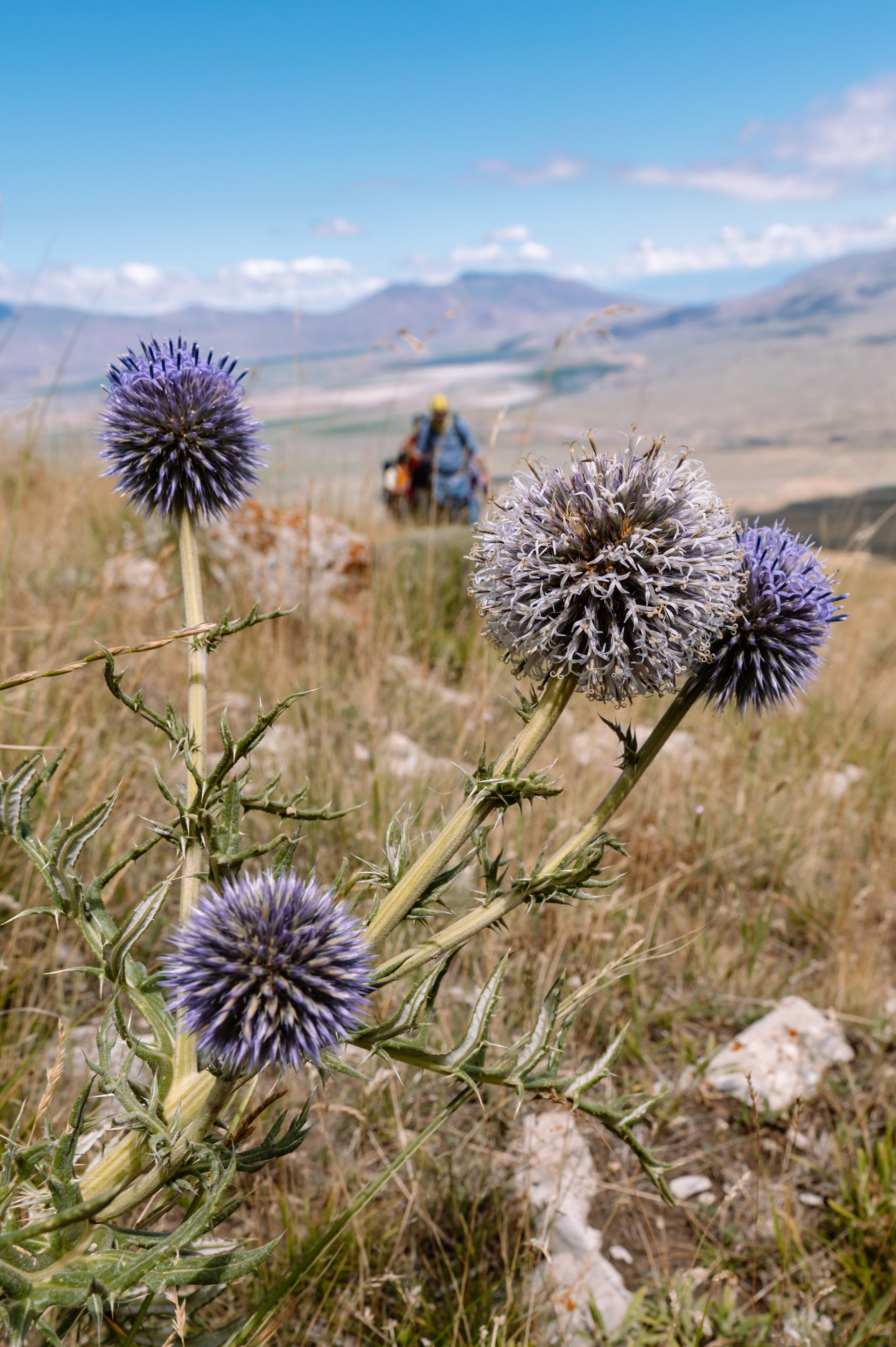 Восхождение на 5137 метров. Репортажный фотограф в Москве и по всему миру Степанова Юлия