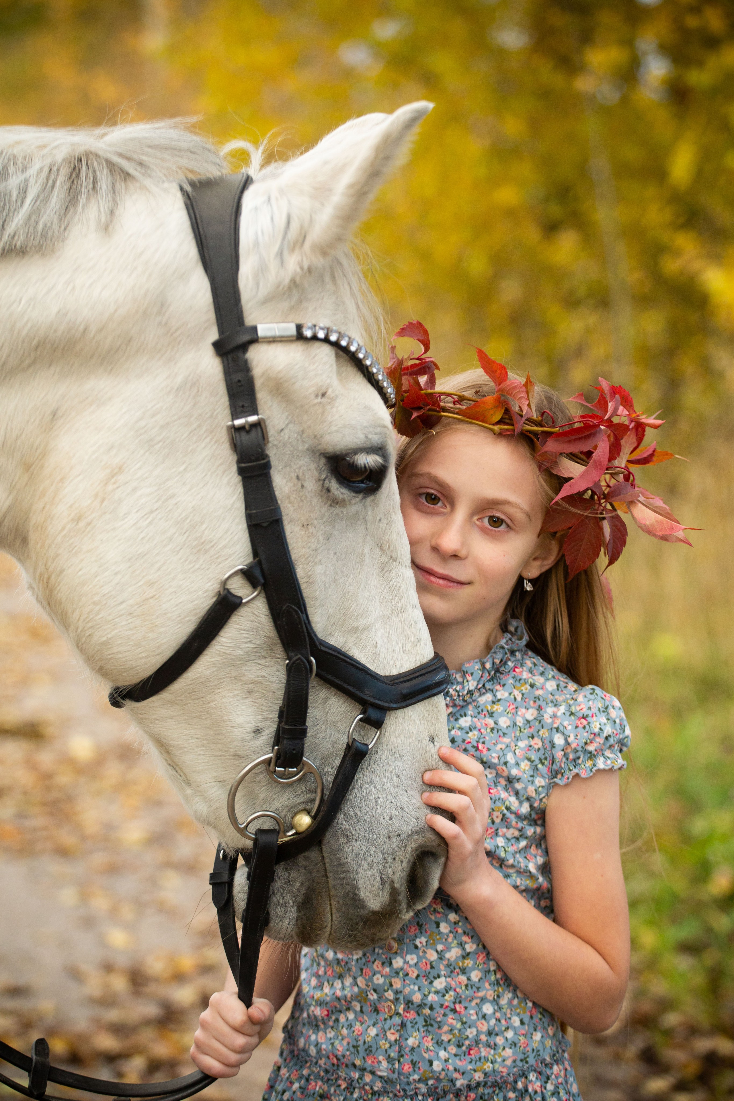Конные фотосессии (съёмки с лошадьми). Главная