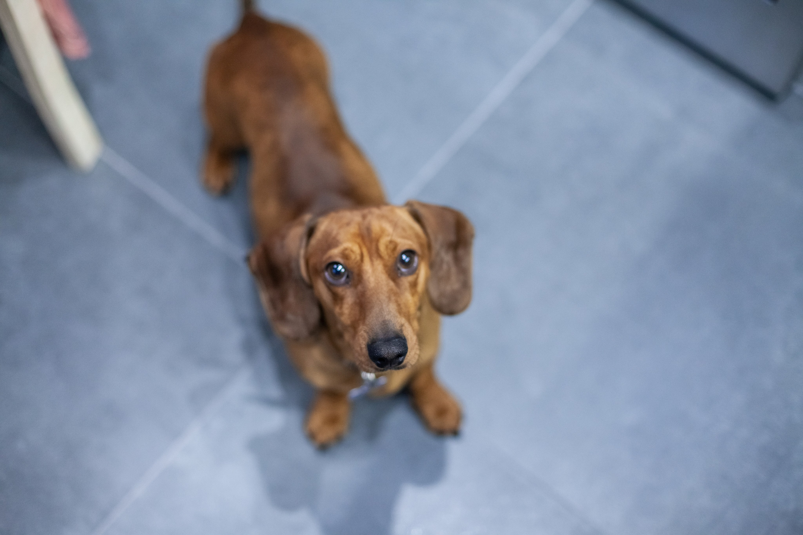 1-12-2023. Главная