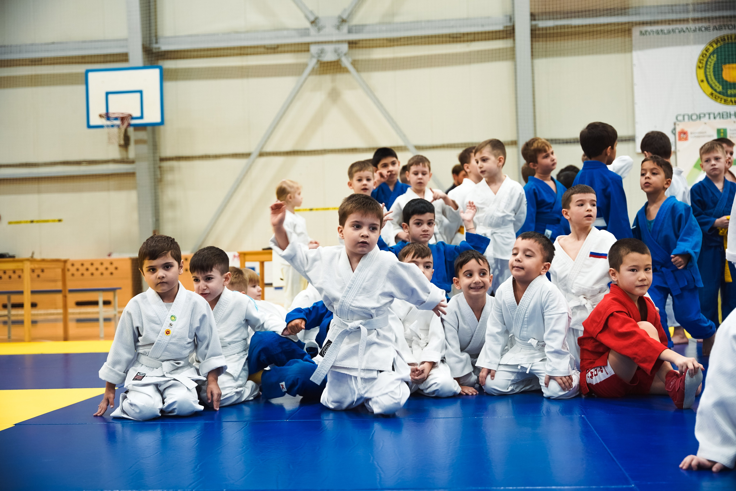 Самбо. Портретный и репортажный фотограф