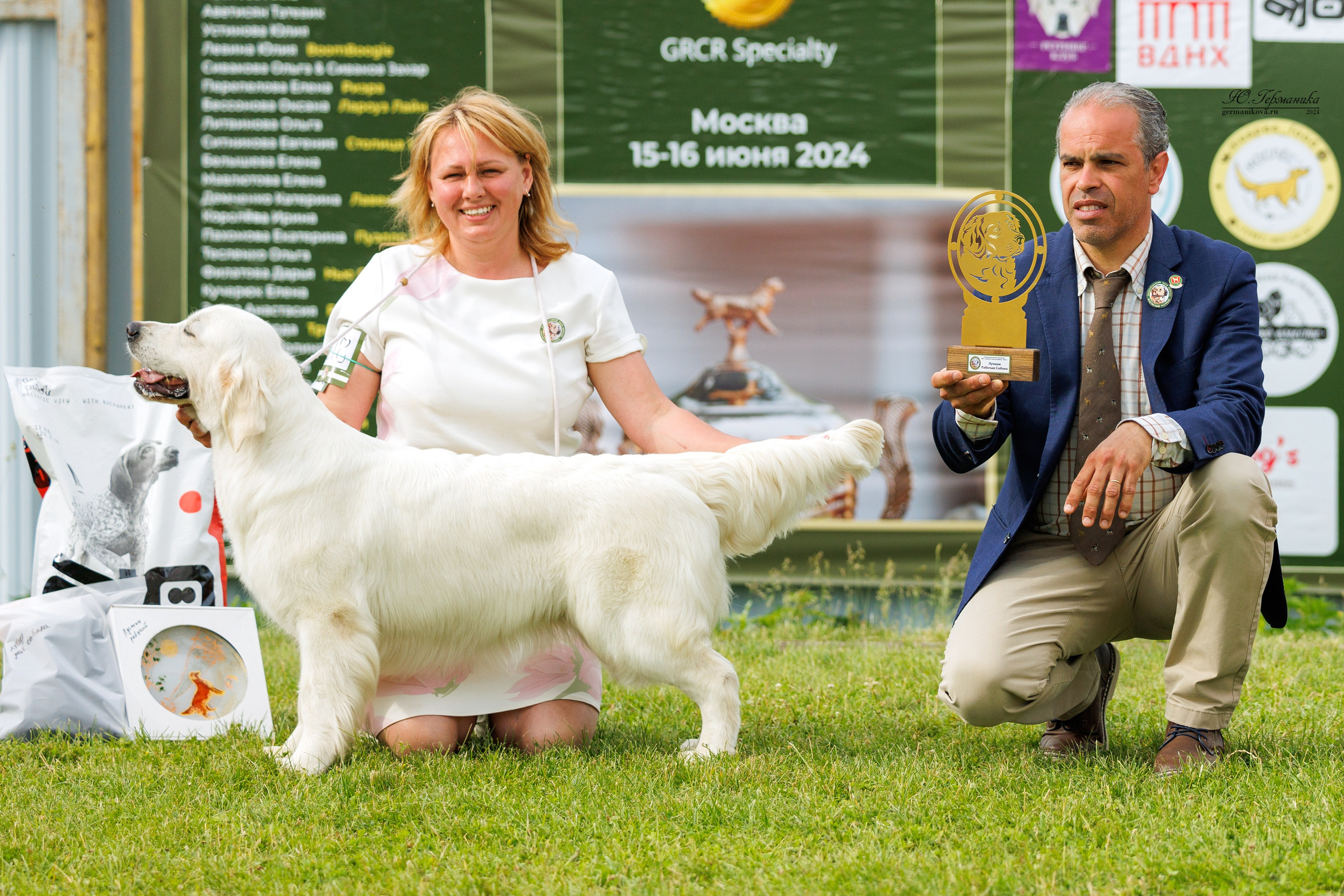 Голдены 15-16.06.2024. Фотограф-анималист Юлия Германика
