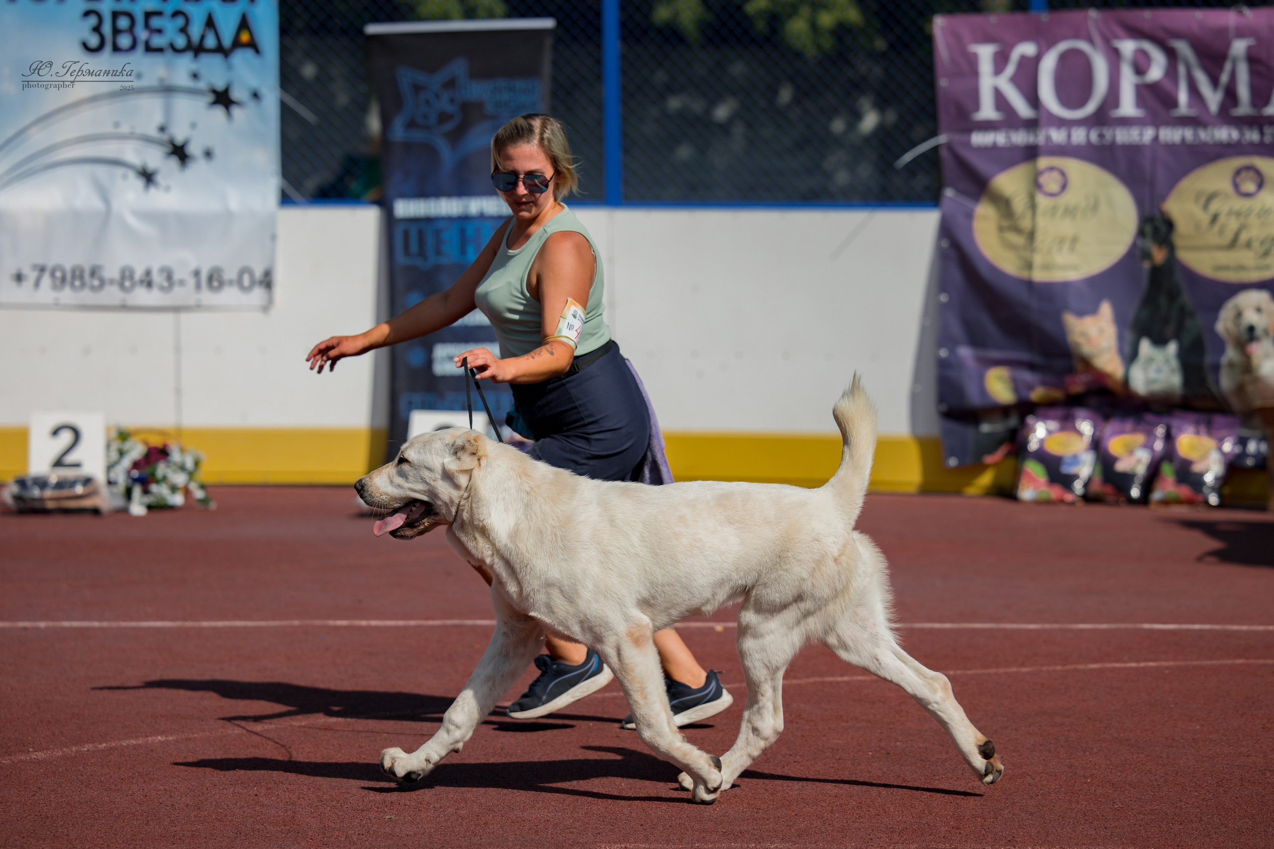 Коломна 30.08.2025. Фотограф-анималист Юлия Германика