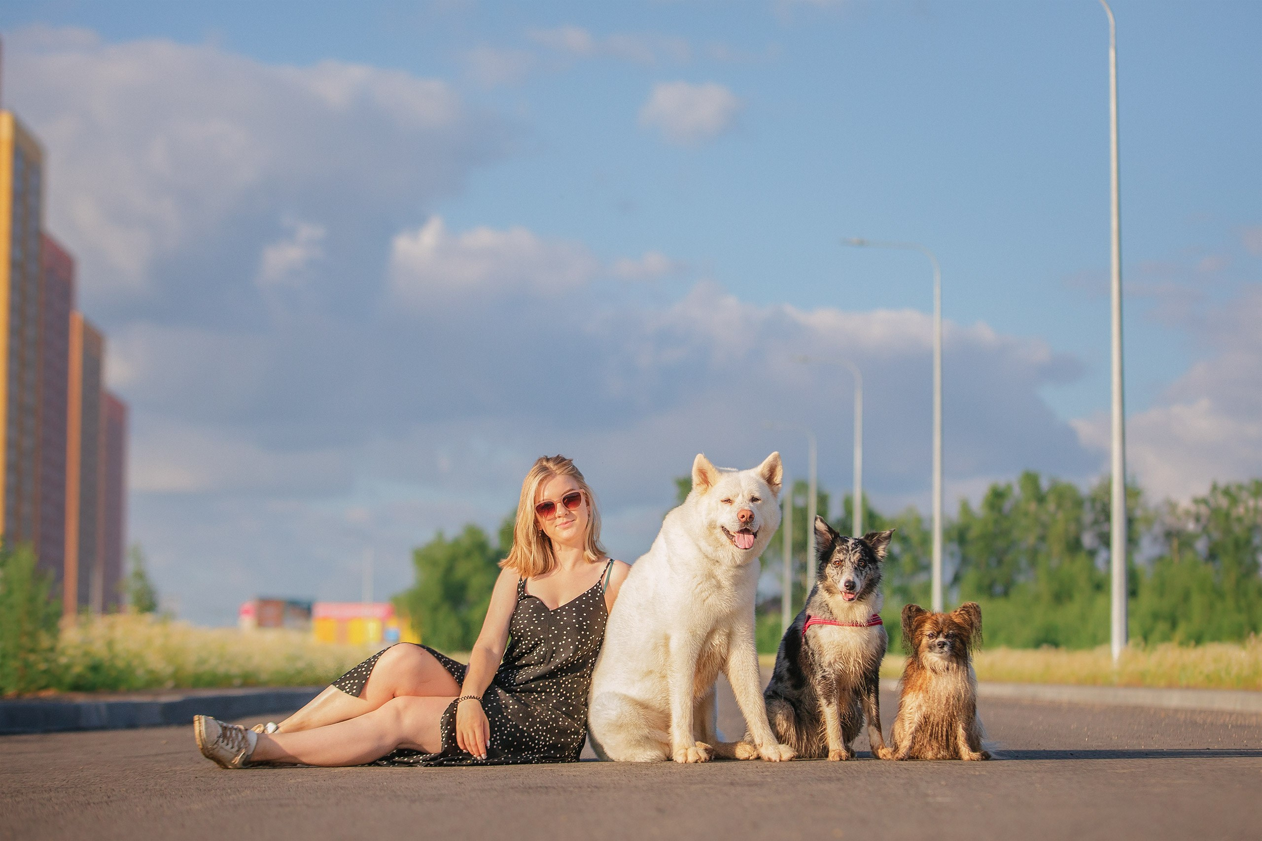 Таня и команда на рассвете. Фотограф анималист Кузнецова Анна Нижний Новгород