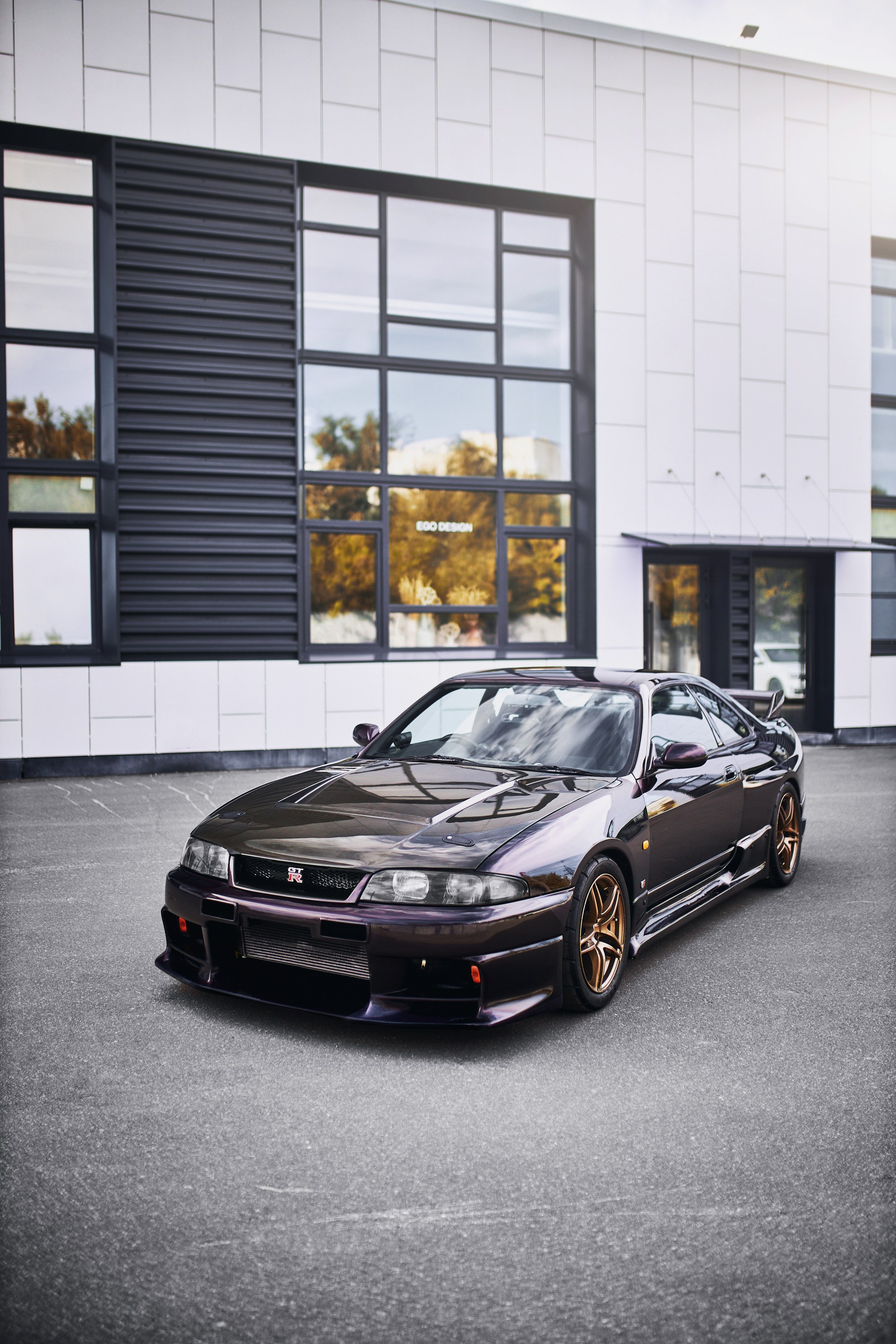 Nissan Skyline GT-R33. DKARPOCHEVA PHOTOGRAPHY