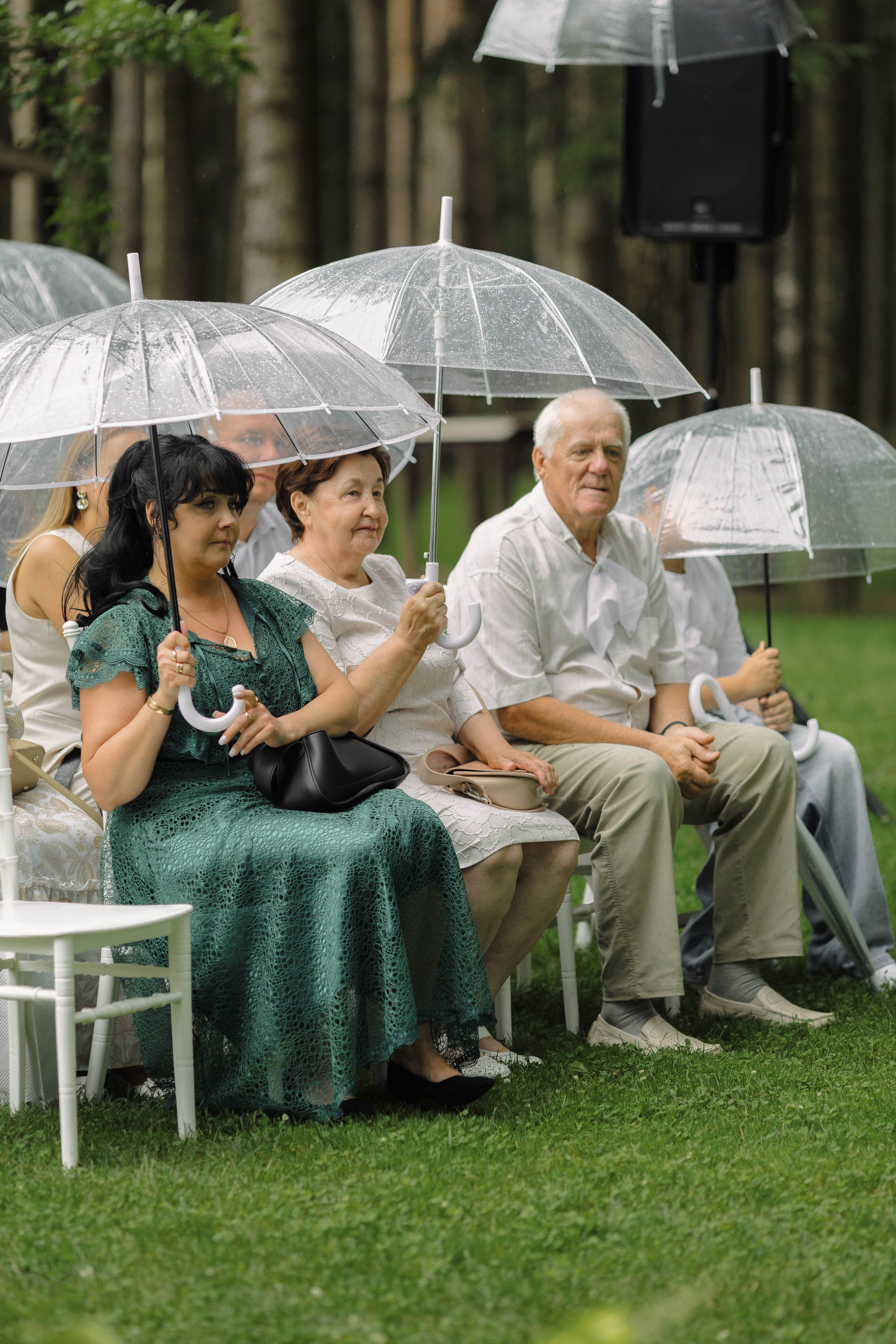 Зеленый сад