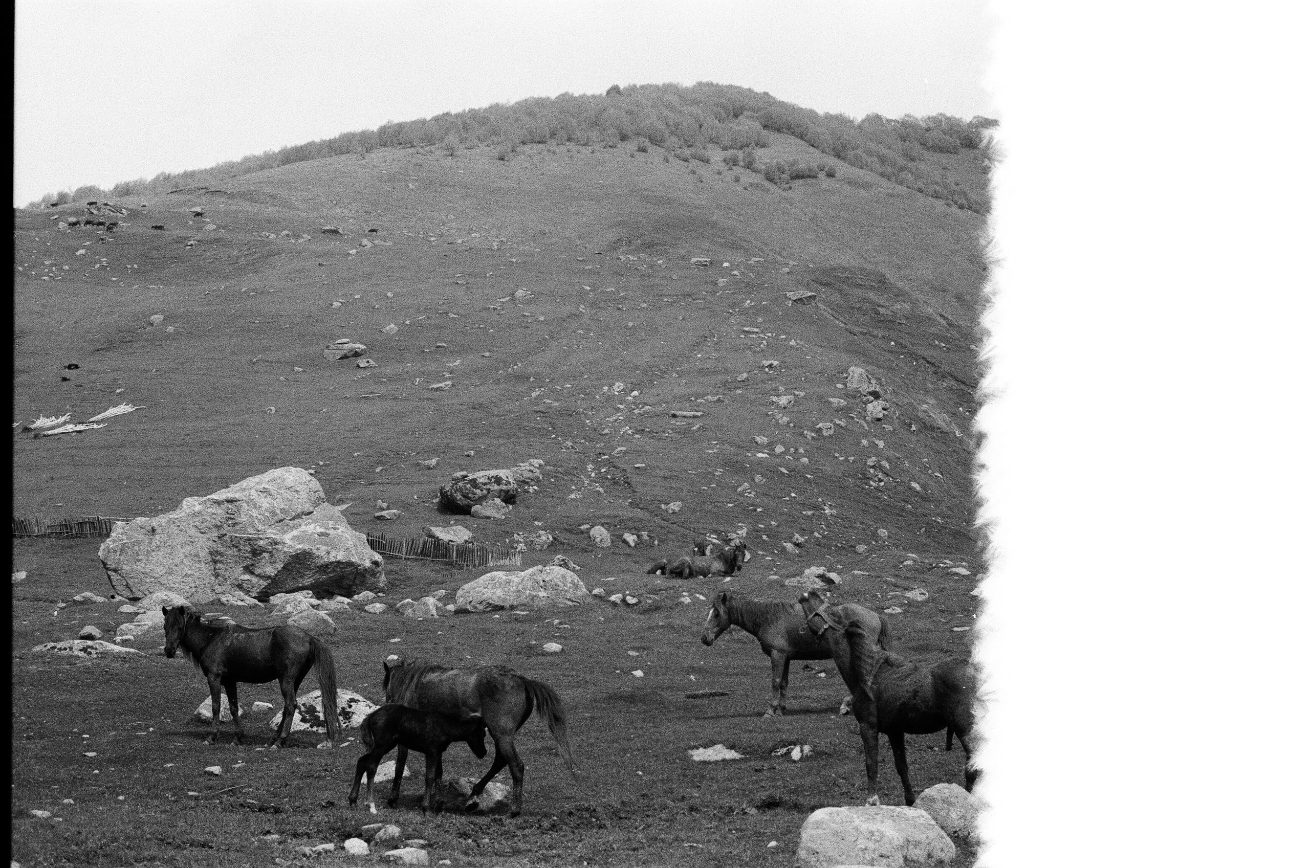 Georgia BW. Aleksander Chernov — Documentary filmmaker and photographer