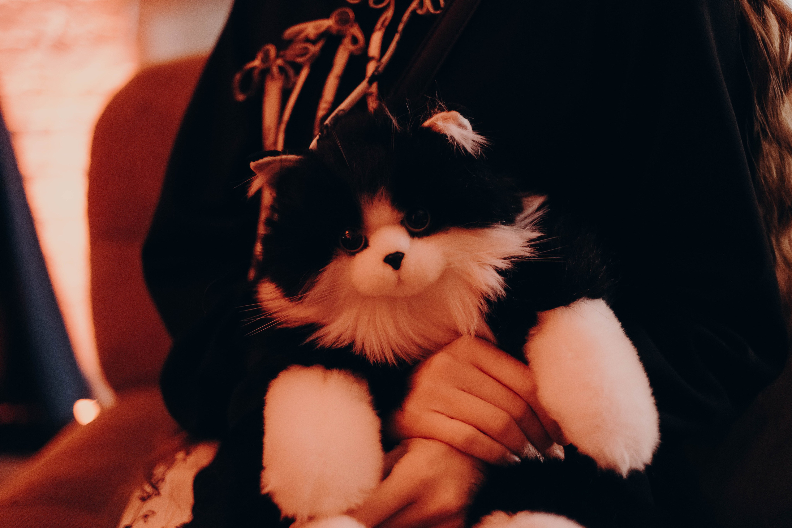 Бал «Изнанка Страны чудес». Фотограф Аннё| Москва