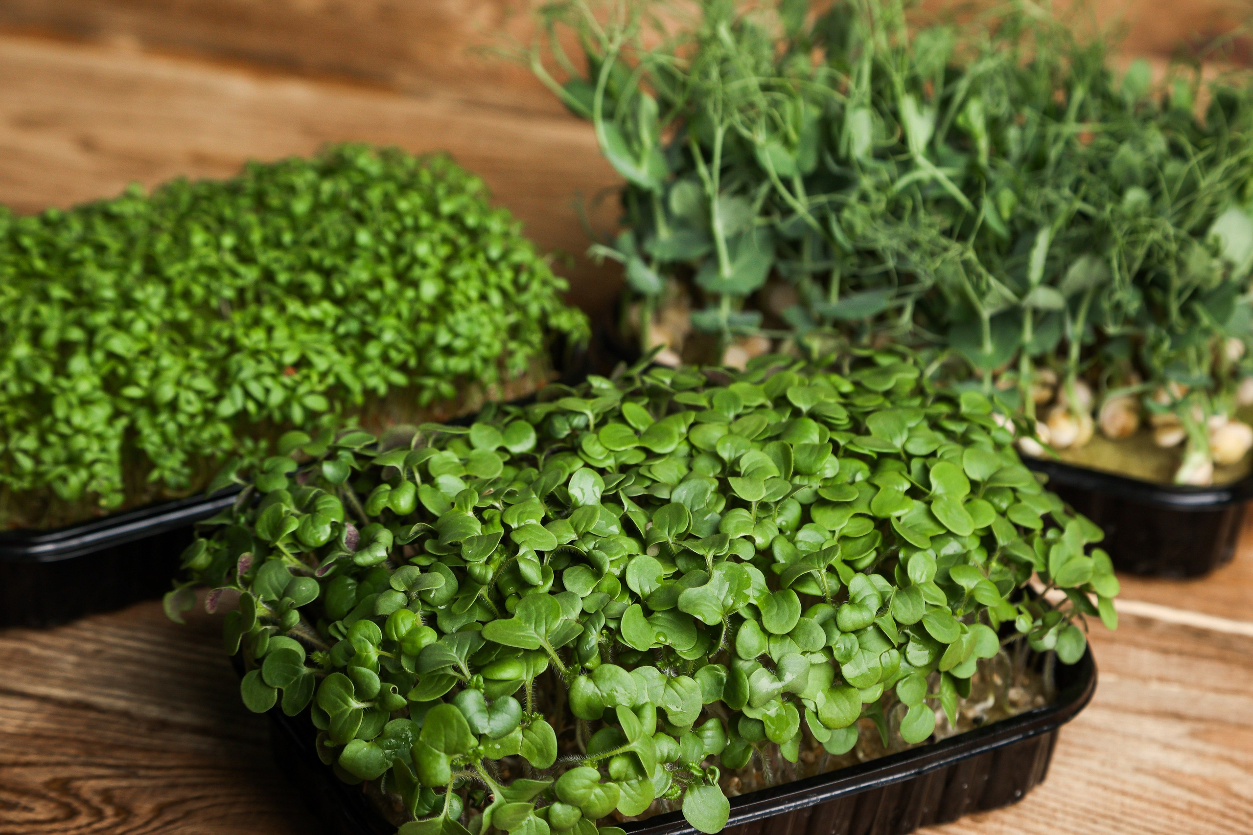 Портфолио. Предметная съемка