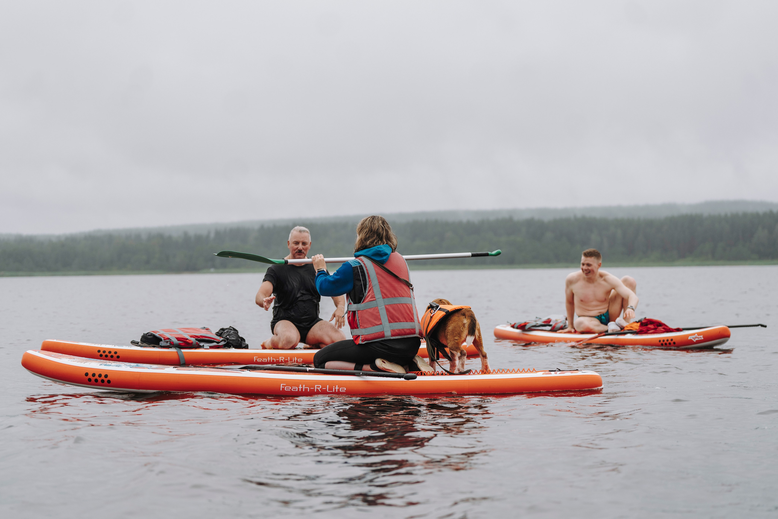 Катание на сапах с собаками. Фотограф анималист в Спб недорого Олеся Майорова