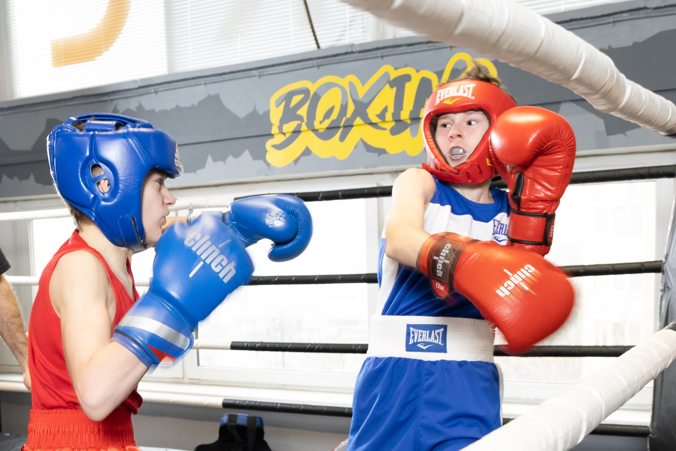 Бокс. Photomantis