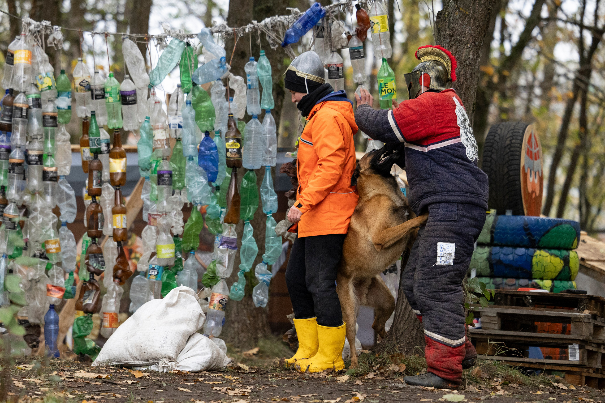 Соревнования по Мондьорингу г. Вологда. Фотограф-анималист Анна Маринич