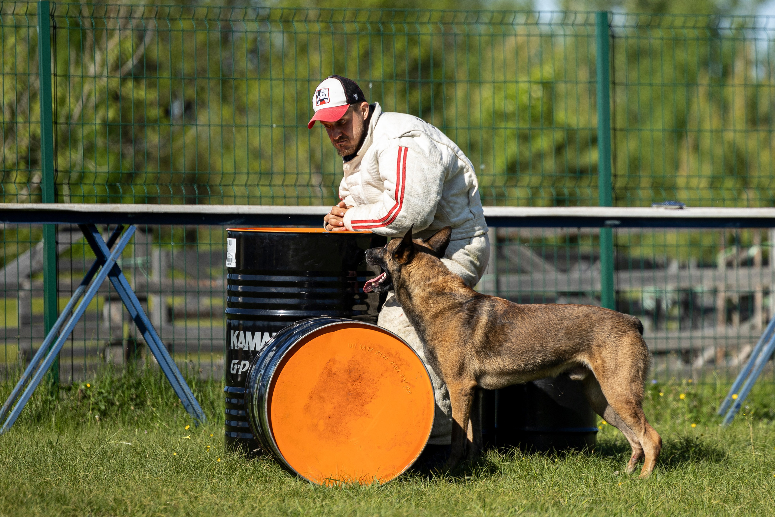 Испытания по мондьорингу в Нижнем Новгороде. Фотограф-анималист Анна Маринич