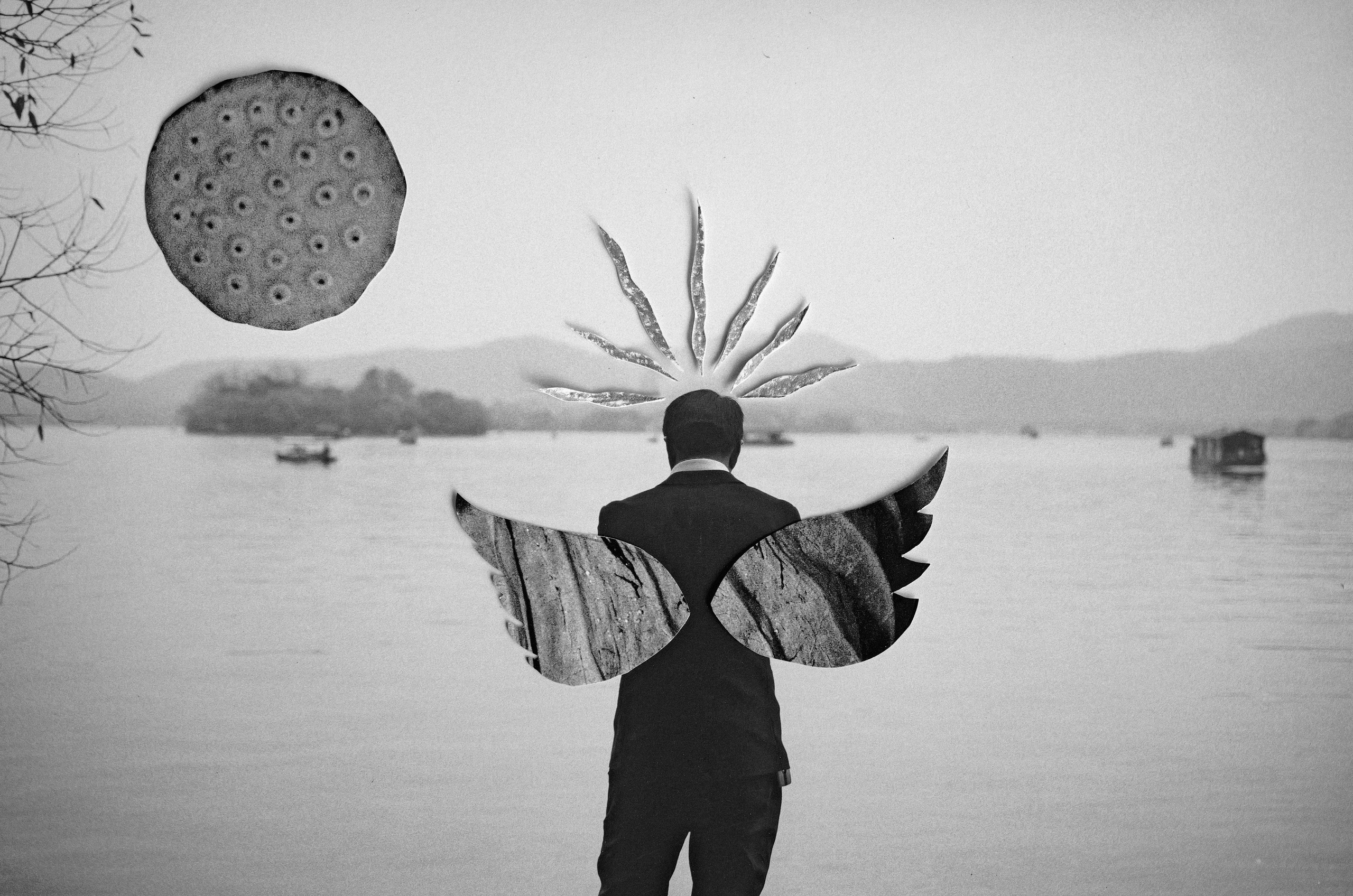 Collages. Photographer Дарья