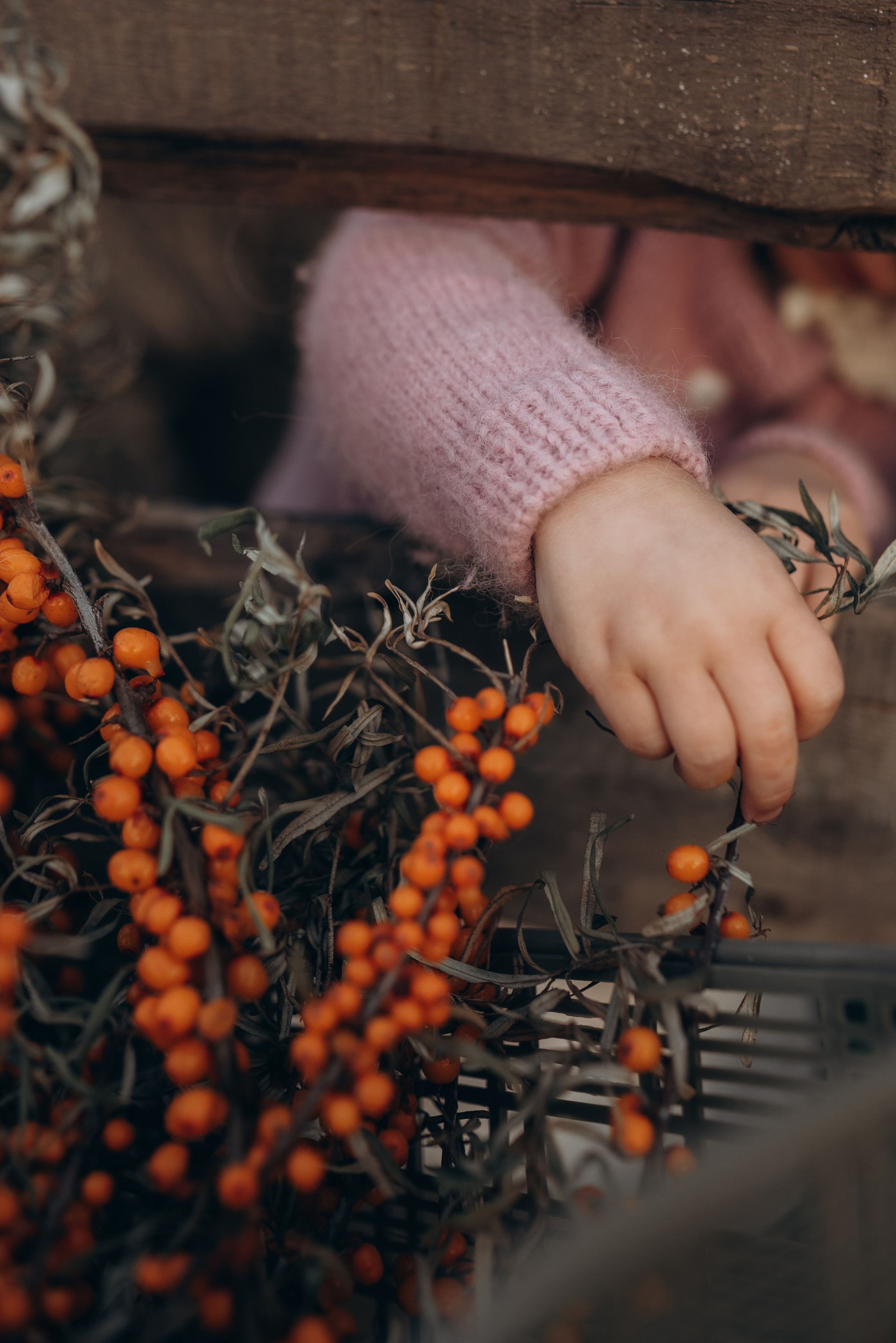 Детство. Семейная фотосессия в Новосибирске от фотографа Ольги Коваль