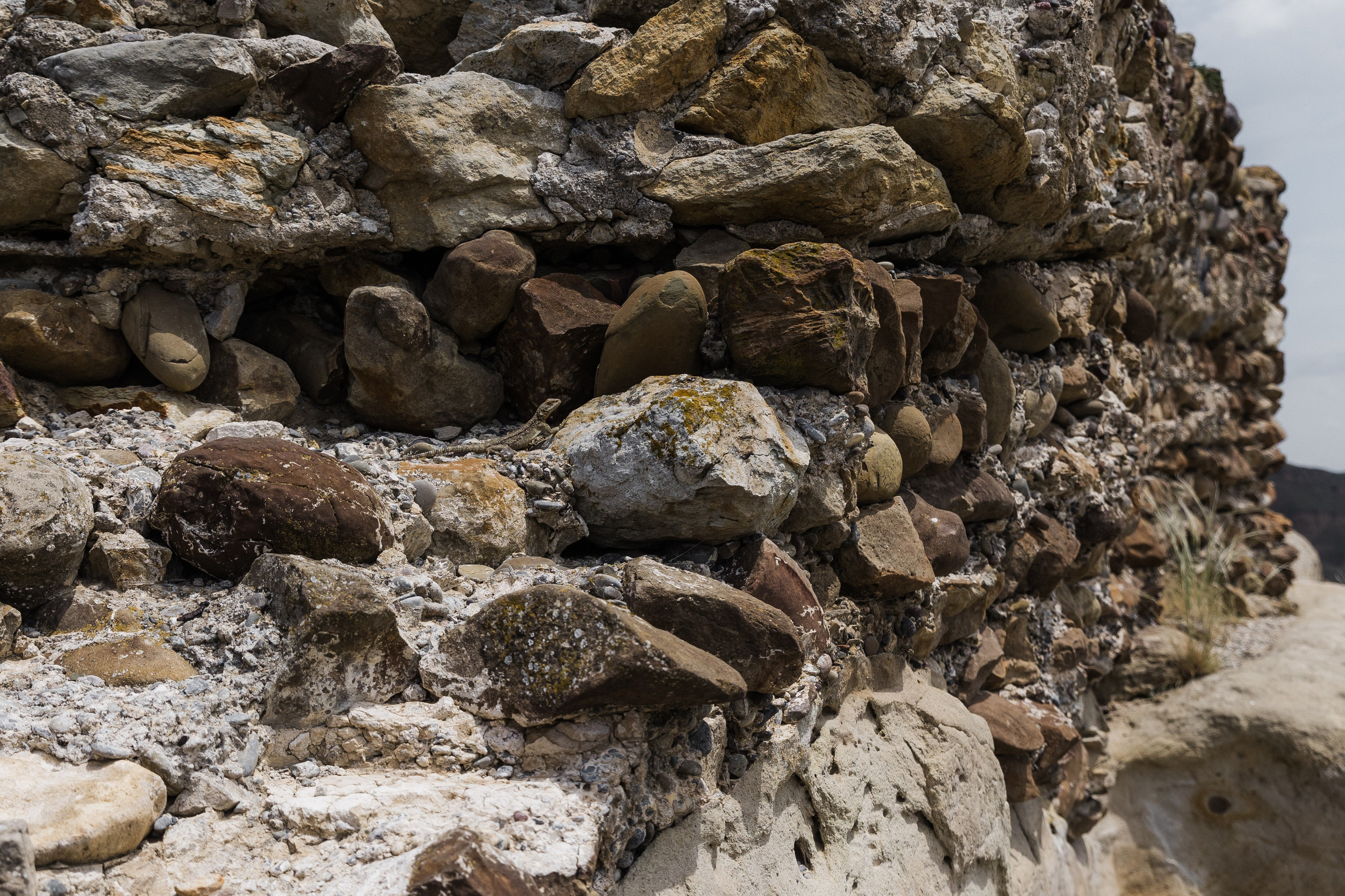 Georgia. Свадебный и семейный фотограф в Краснодаре Роман Моско