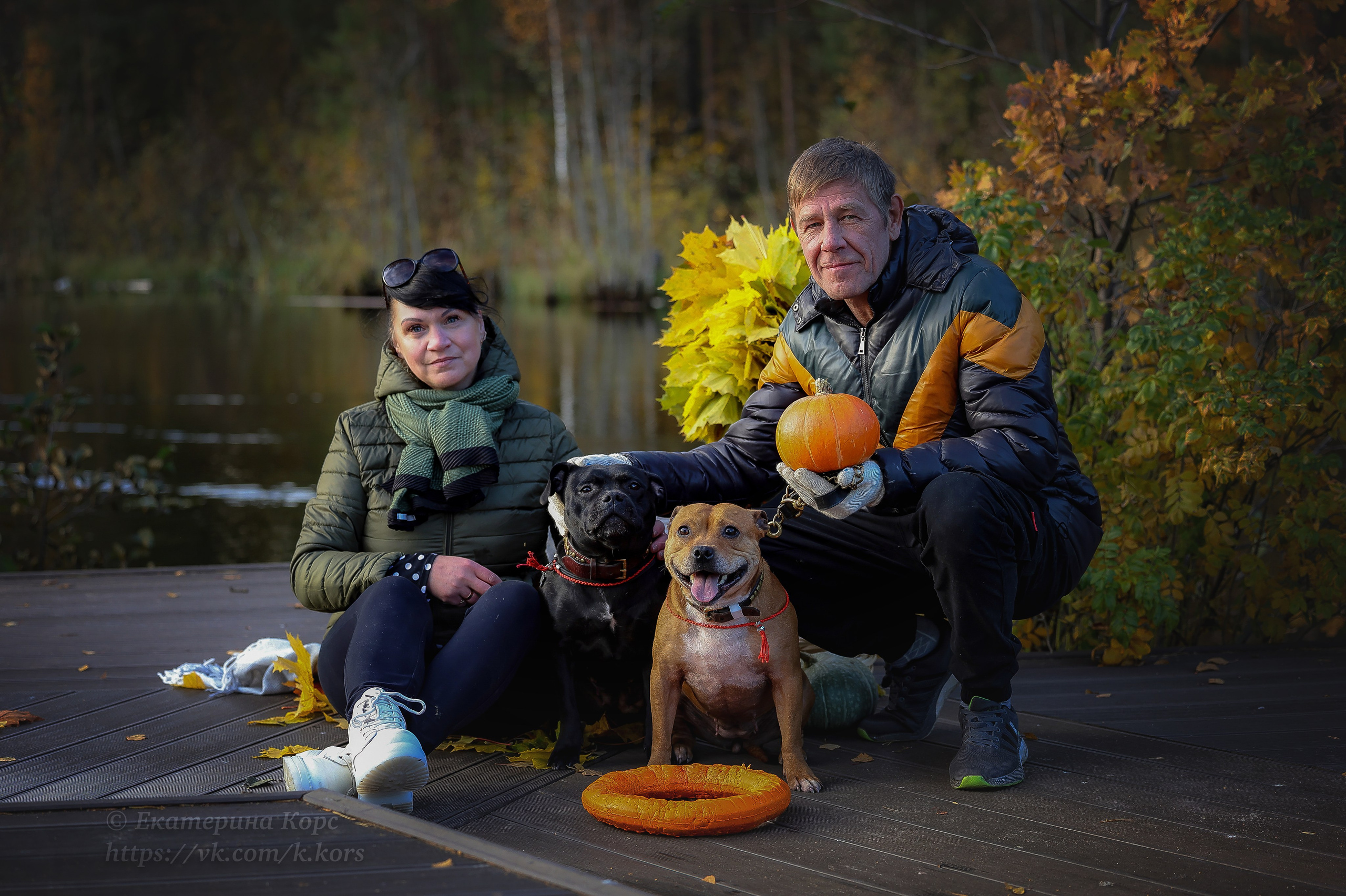 Собаки и люди. Главная