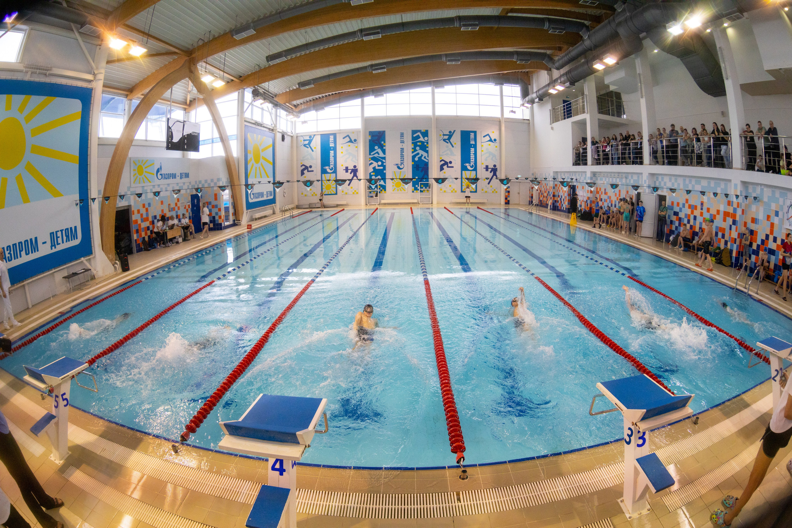 Плавание в ластах (разные годы, более 10 репортажей выборка пополняемая). Фотограф в Туле Крупский АнДРей. Фотостудия «КАДР71» в Туле