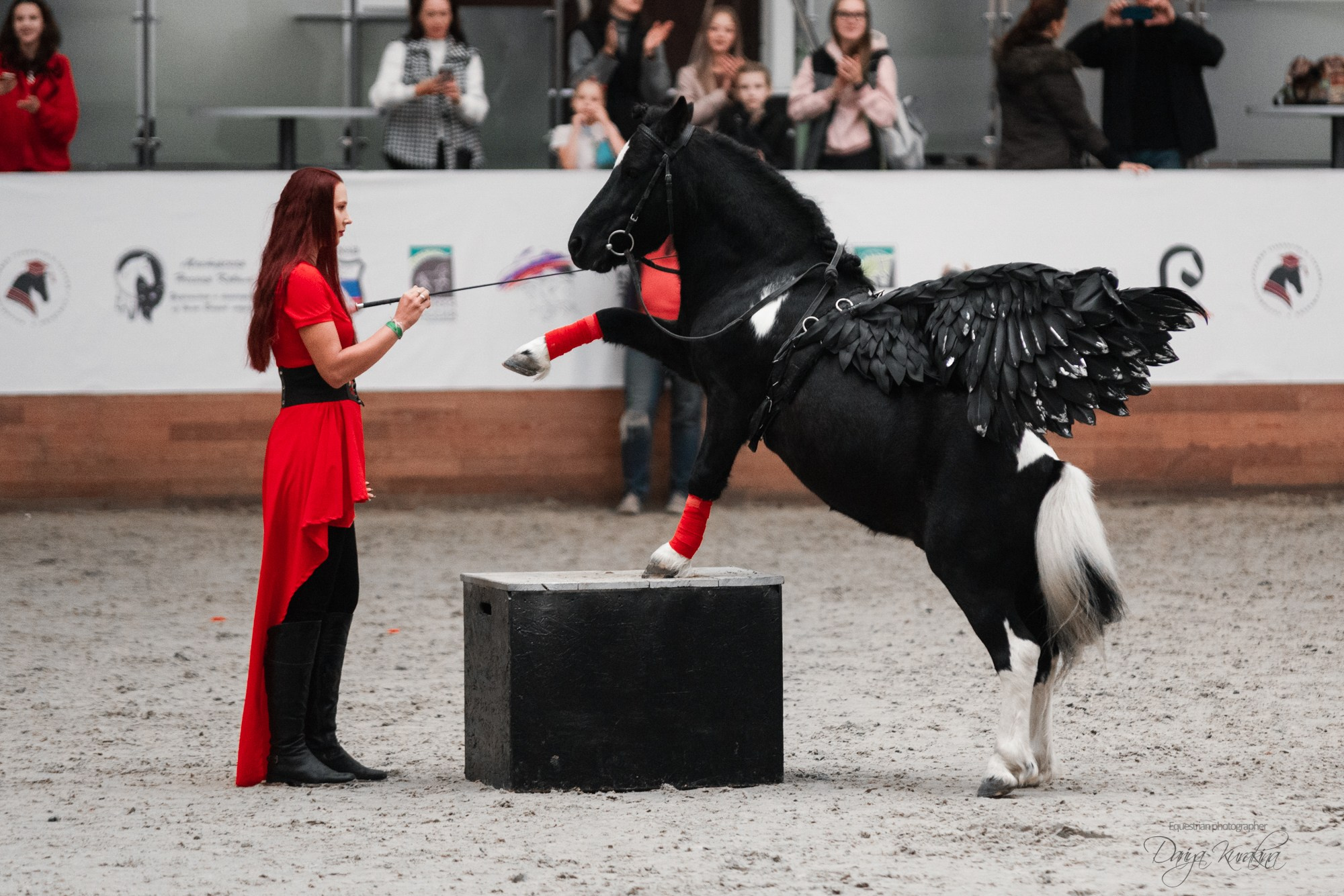 8-я международная выставка Конная Россия. Конный фотограф Куракина Дарья • Фотосессии с лошадьми