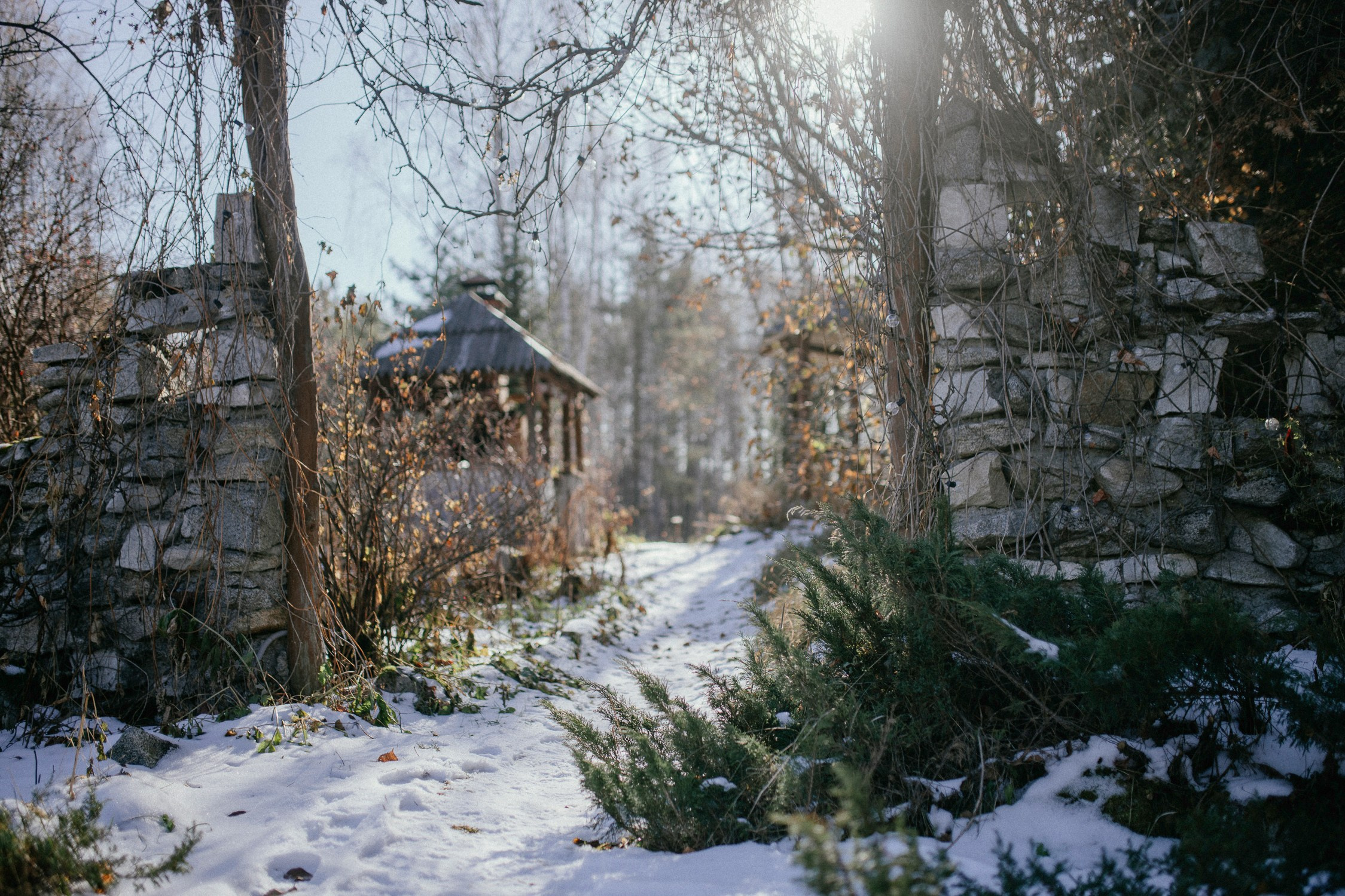 Зал «Сад» фотостудии «Зачарованный Сад» в Екатеринбурге — природная локация для фотосессий. Фотостудия «Зачарованный Сад» в 20 минутах от центра Екатеринбурга